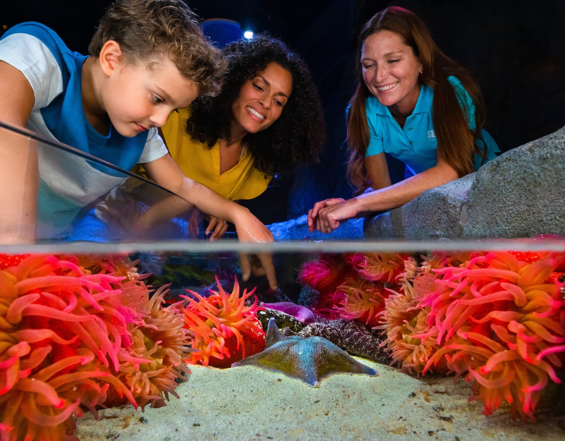 SEA LIFE Orlando Aquarium Ticket - სურათი 3