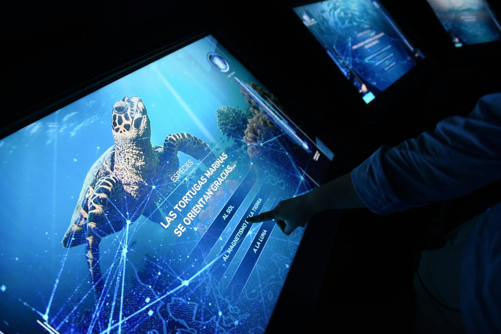 Atlantis Aquarium Madrid Ticket - სურათი 7