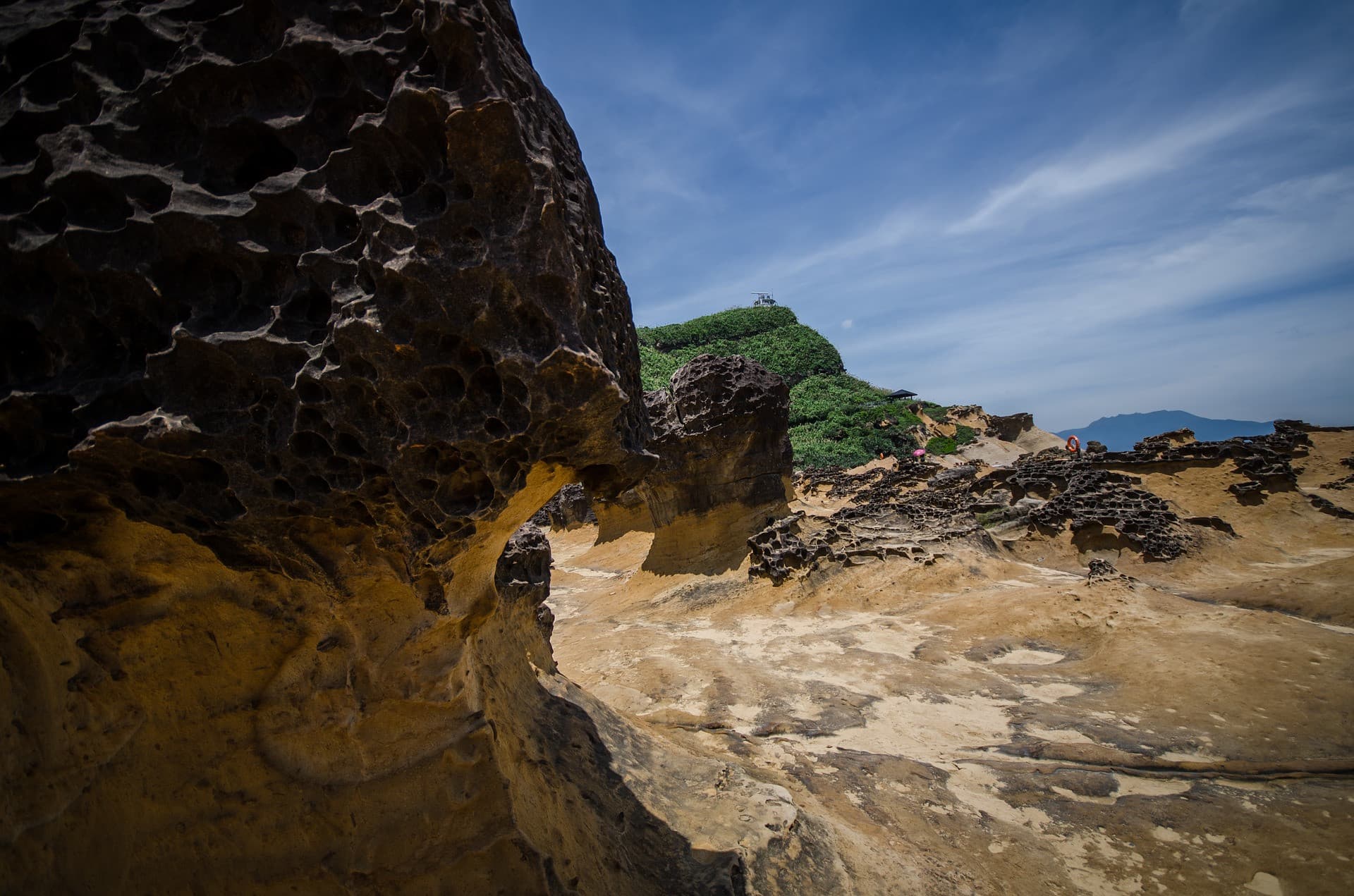 COMBO: Taipei 101 Observatory + Yehliu Geopark - სურათი 7