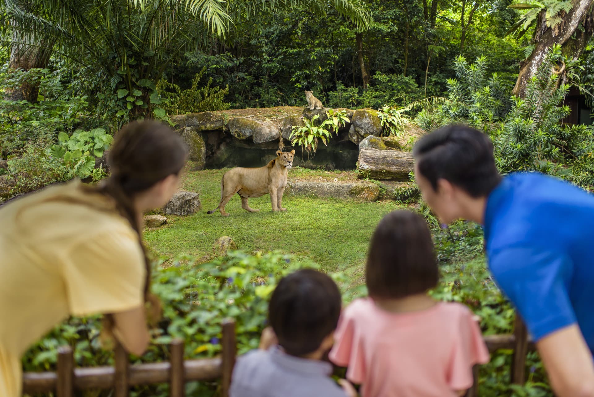 COMBO: Singapore Zoo + River Wonders Ticket - სურათი 9