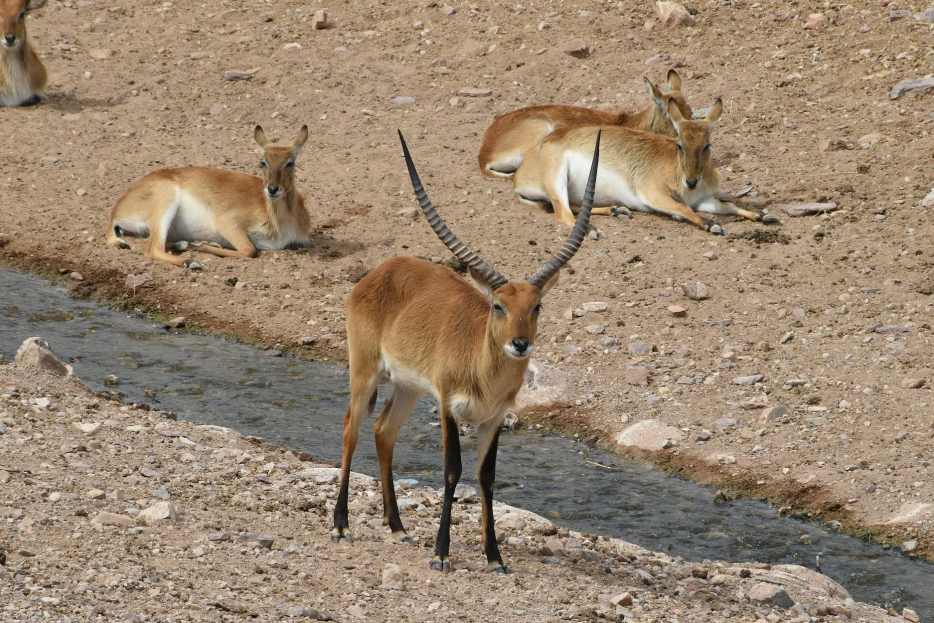 Terra Natura Murcia Ticket - სურათი 8
