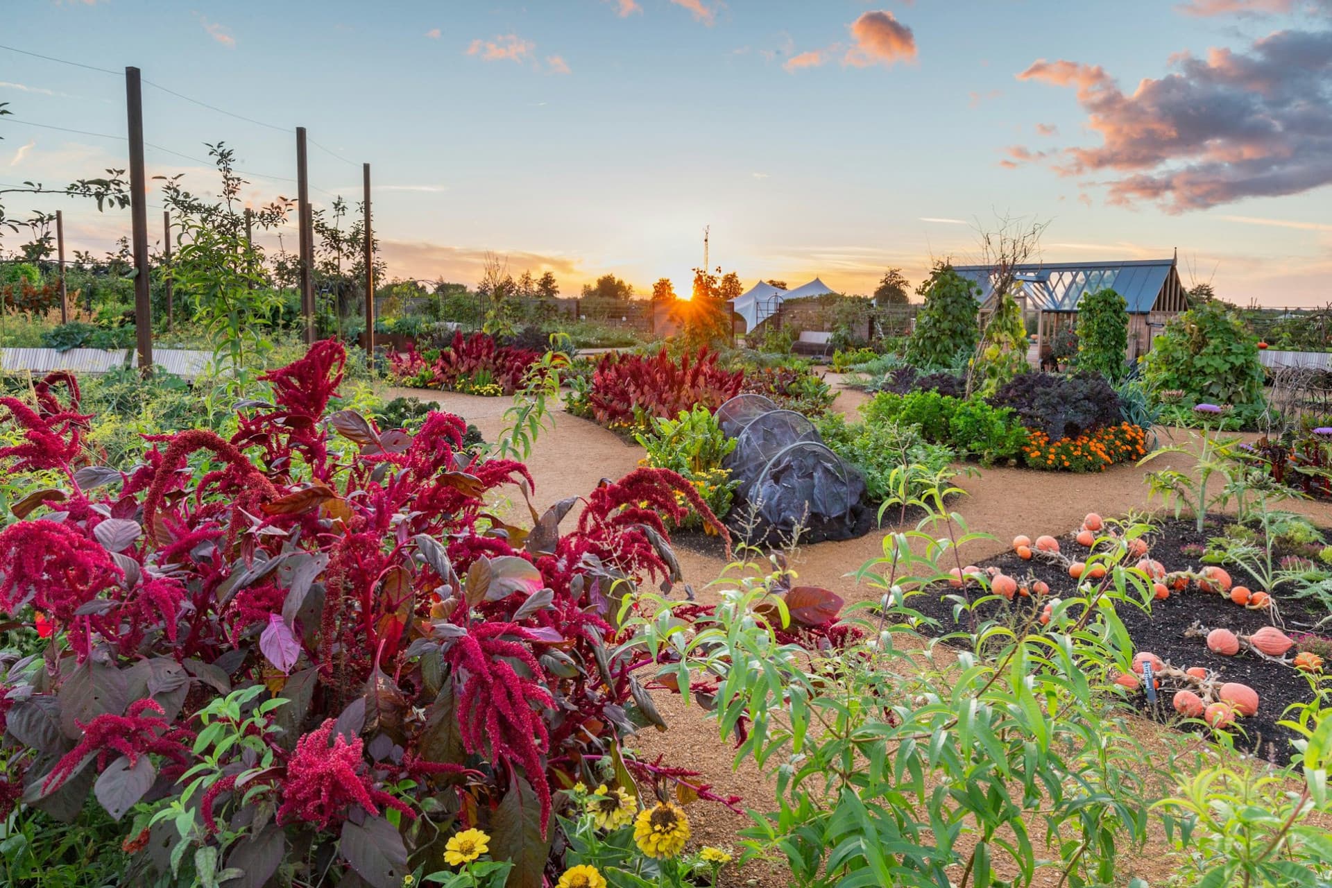 RHS Garden Wisley Ticket - სურათი 4