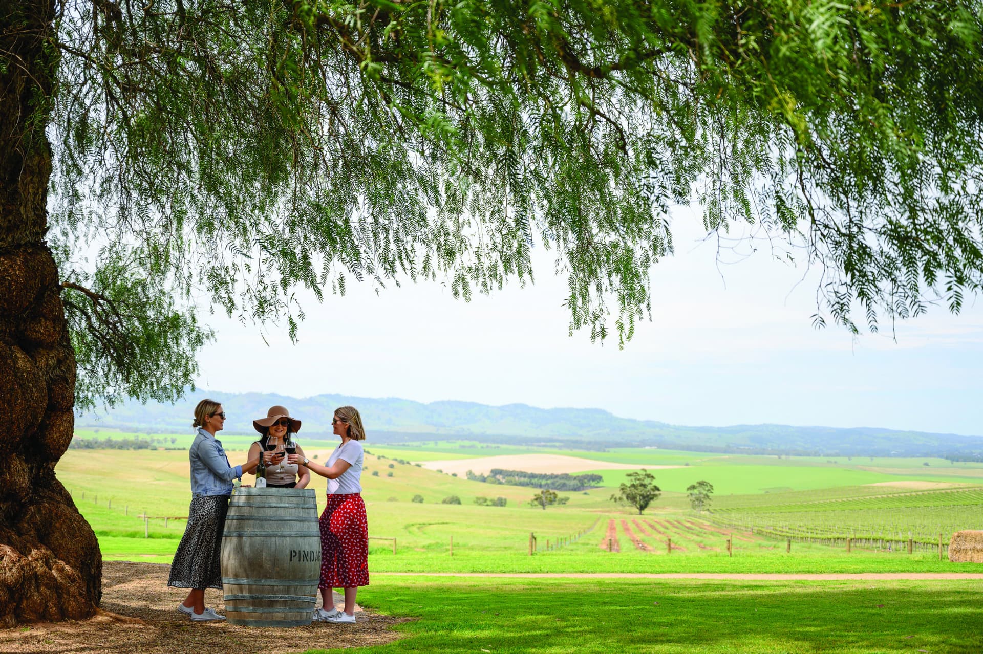 Barossa Valley Wineries and Hahndorf Tour - მთავარი სურათი