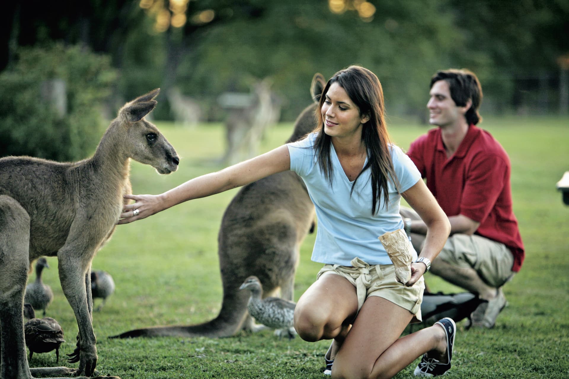 Currumbin Wildlife Sanctuary Gold Coast Ticket - სურათი 5