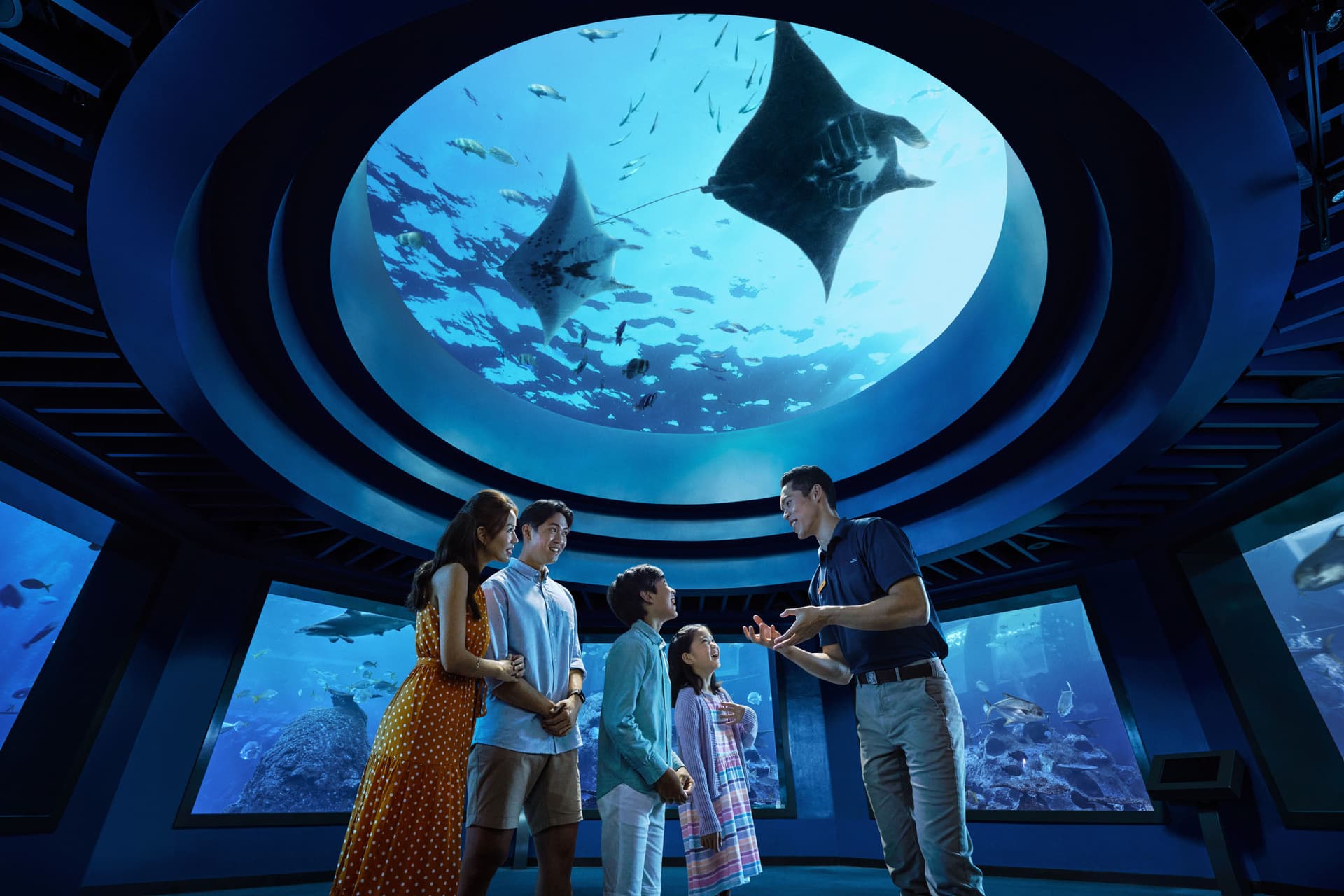 COMBO: Singapore Cable Car + Singapore Oceanarium + Albatross Hop-On Hop-Off Speedboat Tickets - მთავარი სურათი