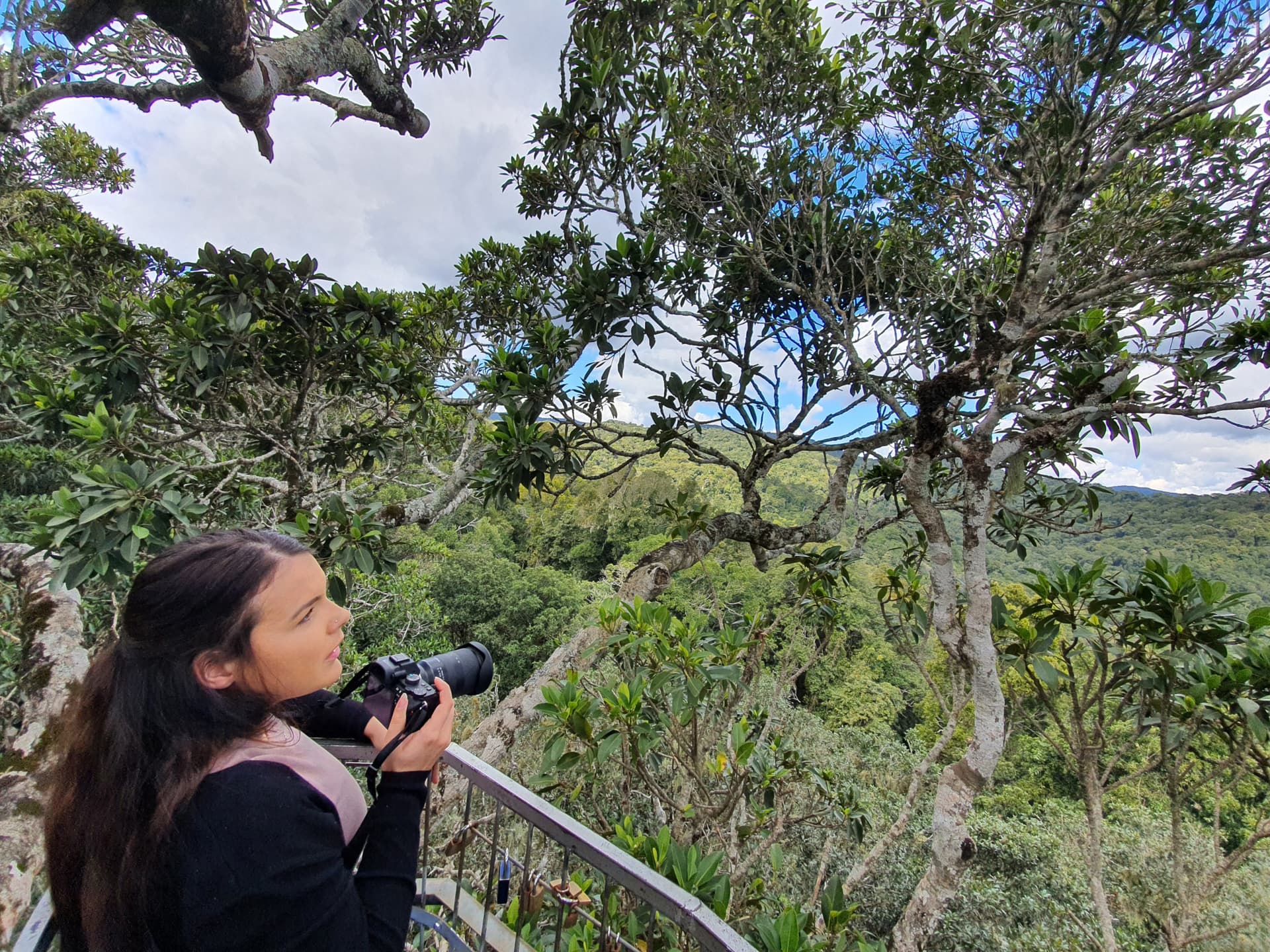 Lamington National Park Tour: O'Reilly's Rainforest Retreat and Canungra Valley Vineyard - სურათი 5