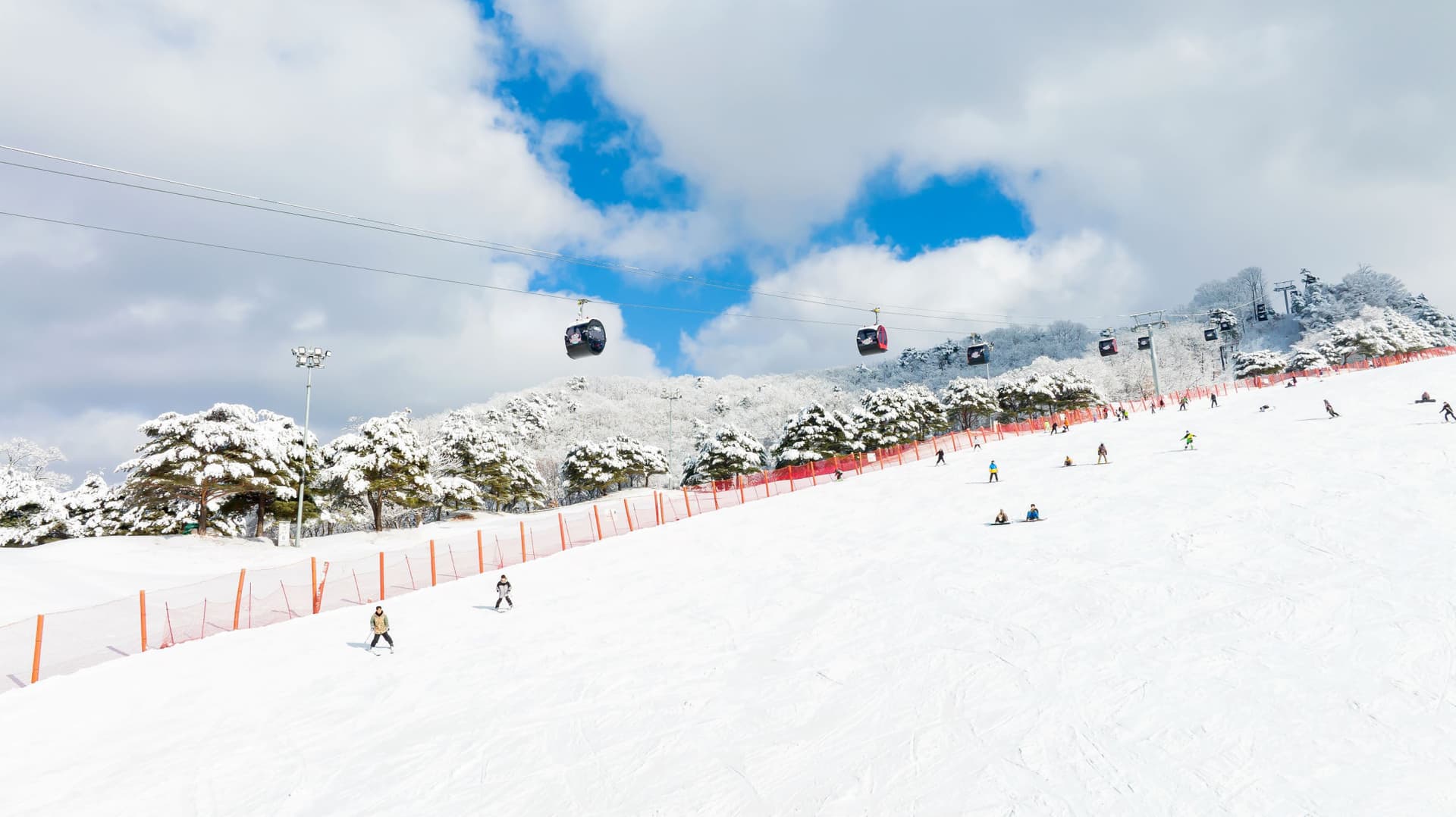 Vivaldi Park Winter Ski and Eobi Ice Valley Day Tour from Seoul - სურათი 3