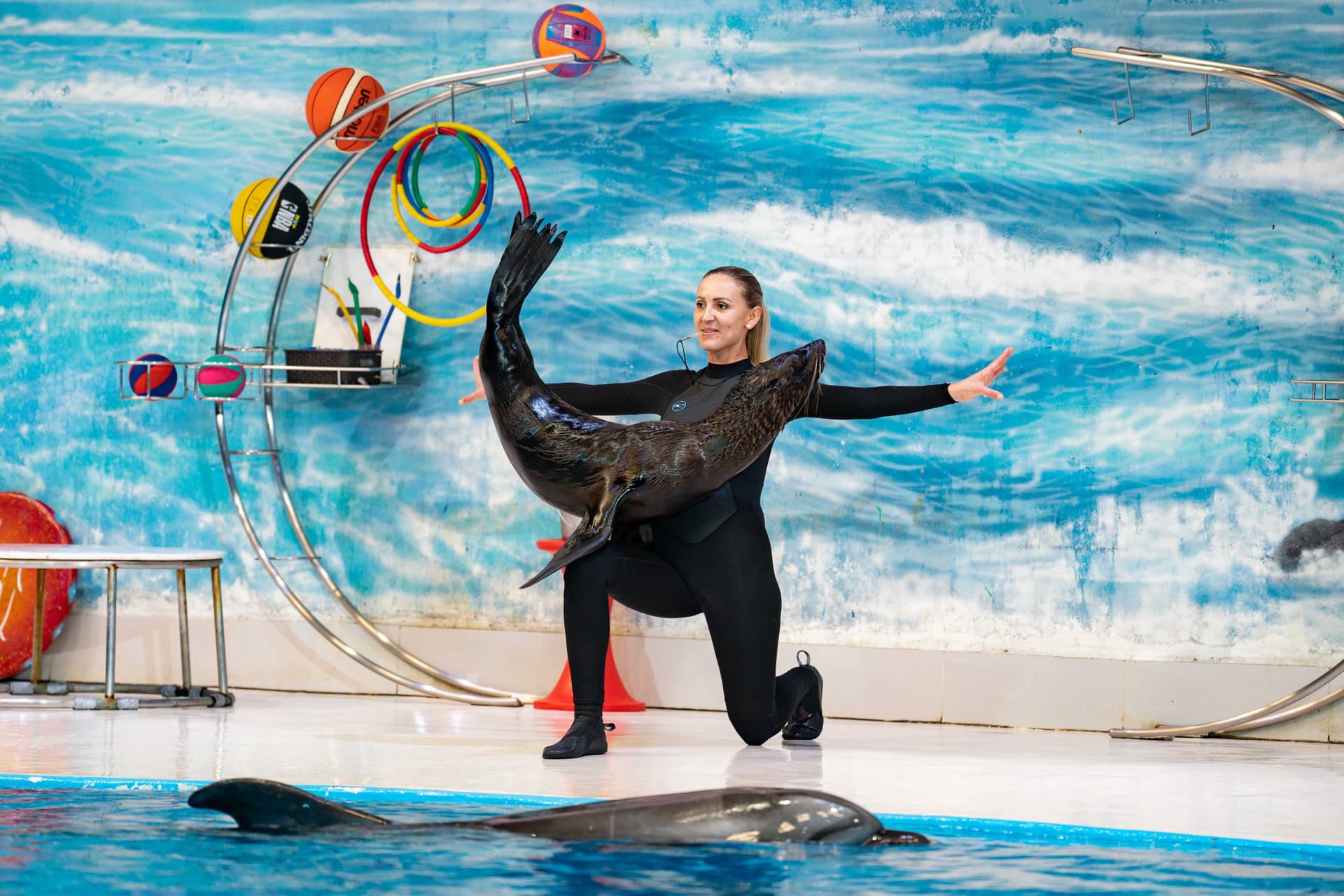 Dubai Dolphinarium Ticket - სურათი 9