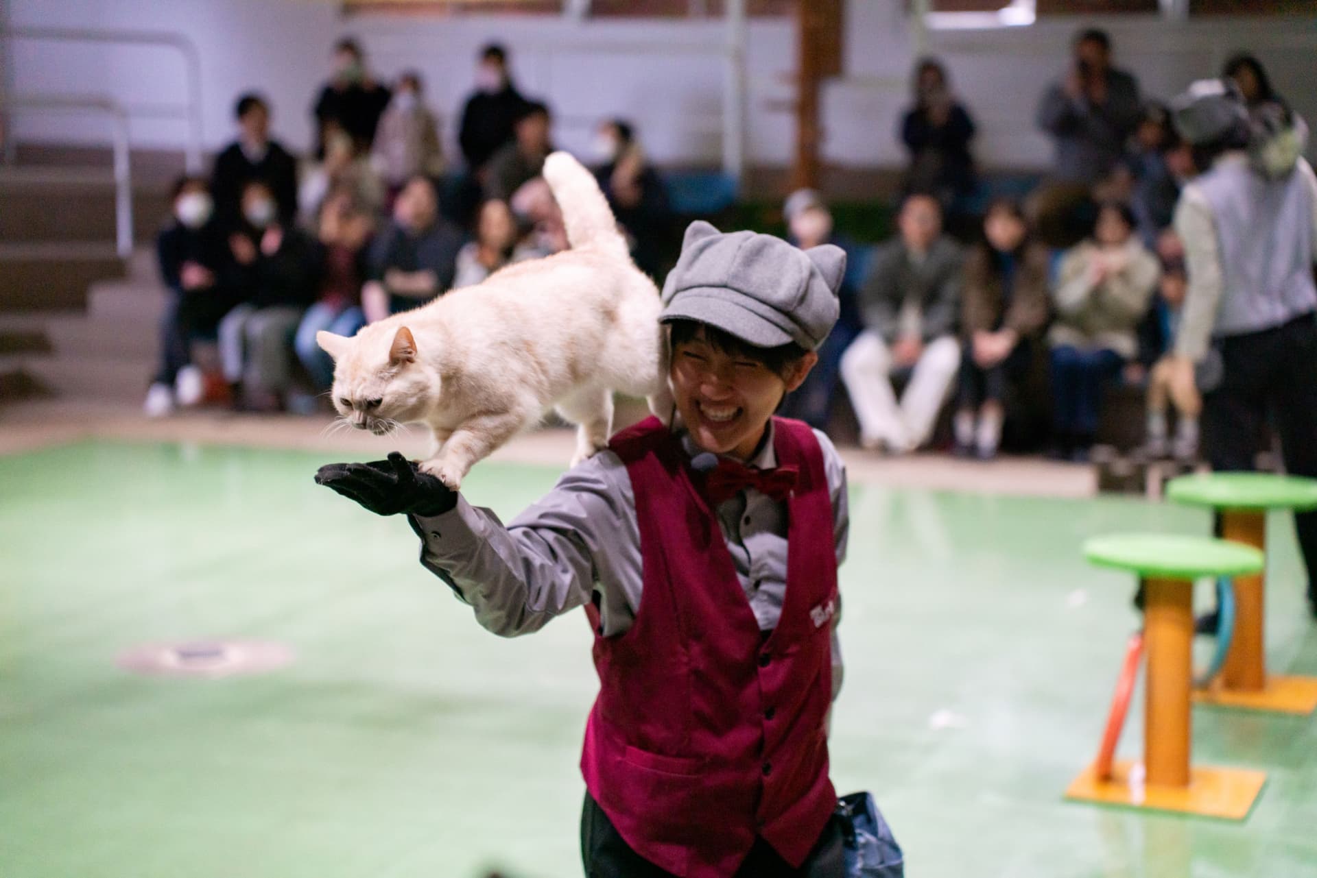 Nasu Animal Kingdom Ticket - სურათი 4