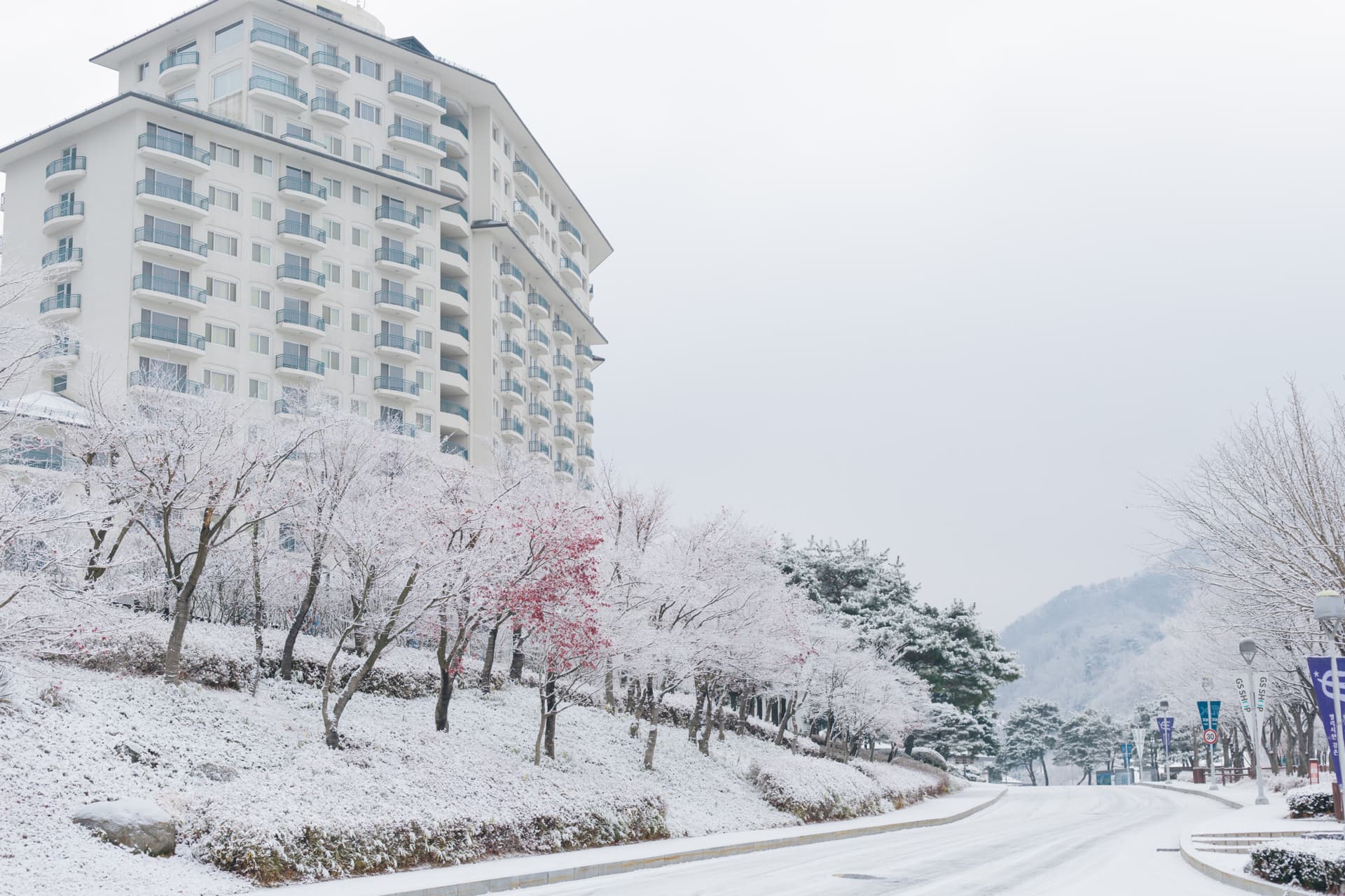 Elysian Gangchon Ski Resort and Eobi Ice Valley Full-Day Tour from Seoul - სურათი 11