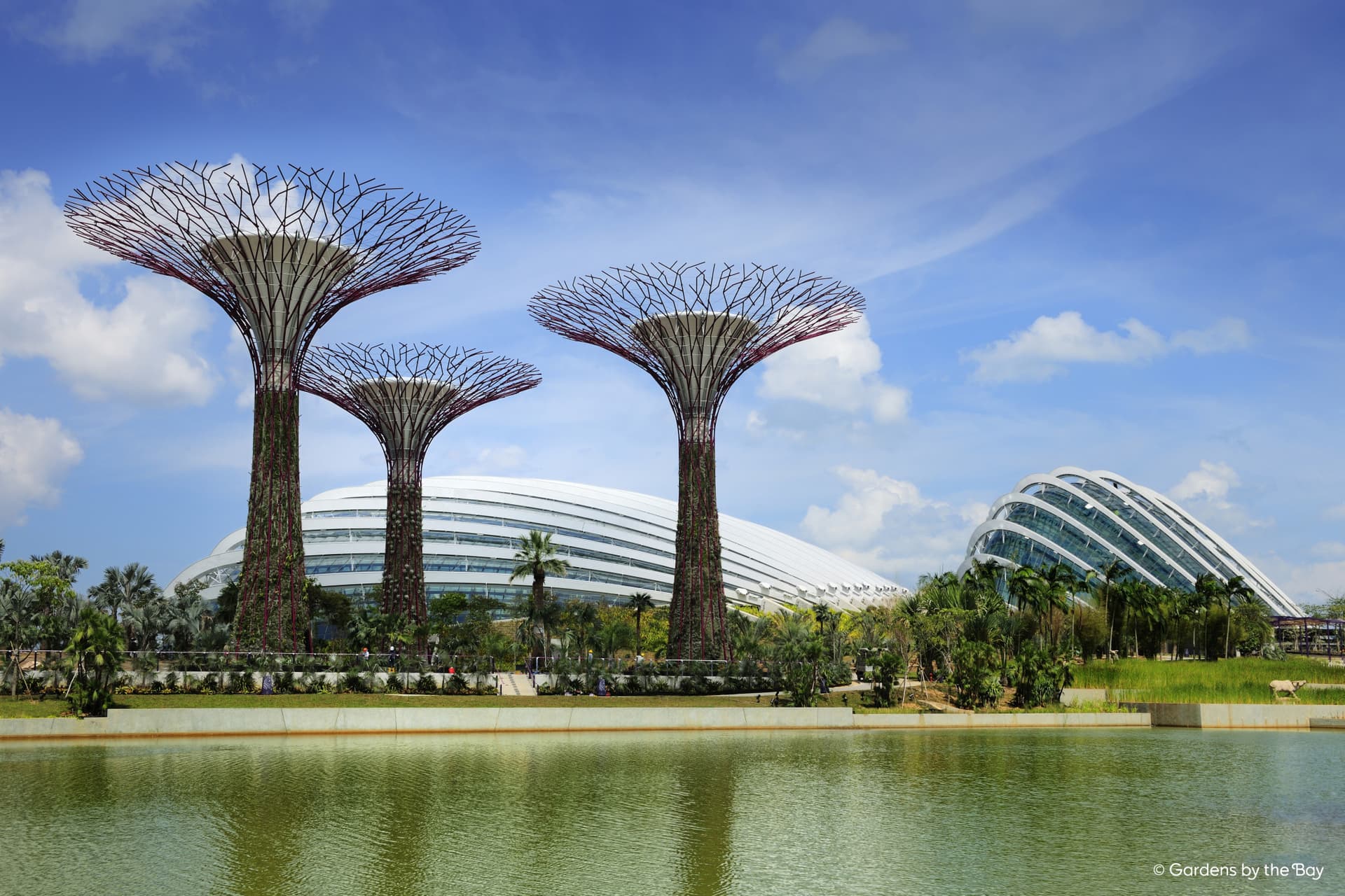 COMBO: Singapore Flyer + Gardens by the Bay Ticket - სურათი 6