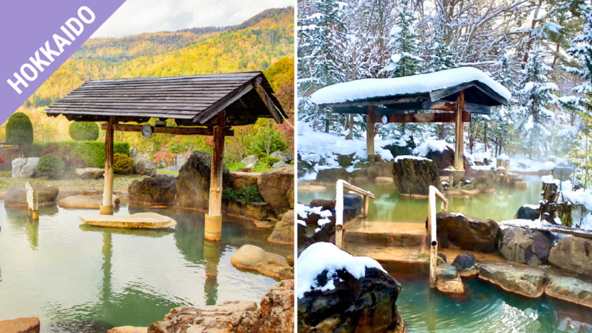 Have Fun in Hokkaido Pass - 1 Week Free Pass - სურათი 8