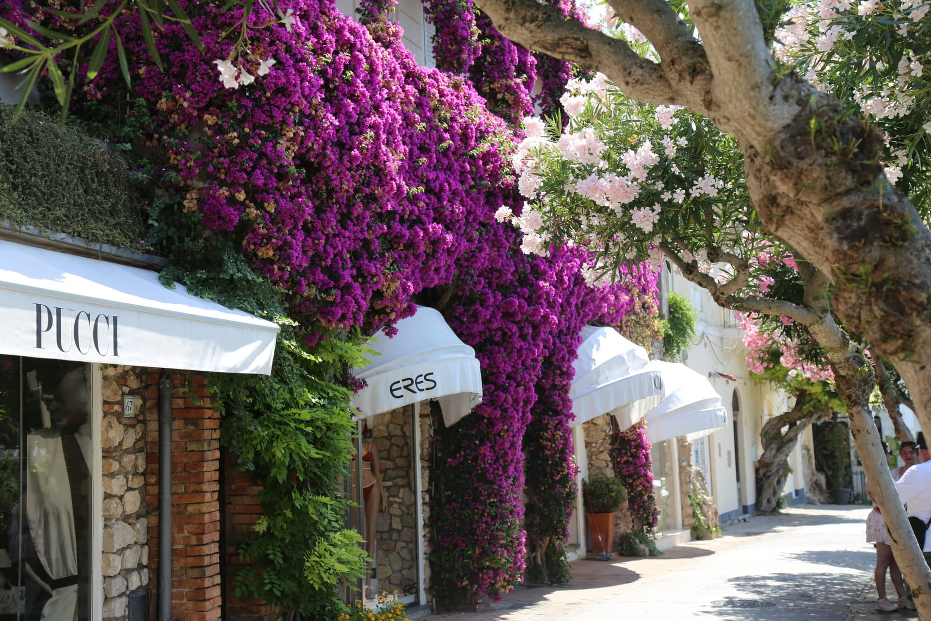 Tour of Capri & Anacapri with Blue Grotto from Naples - სურათი 8