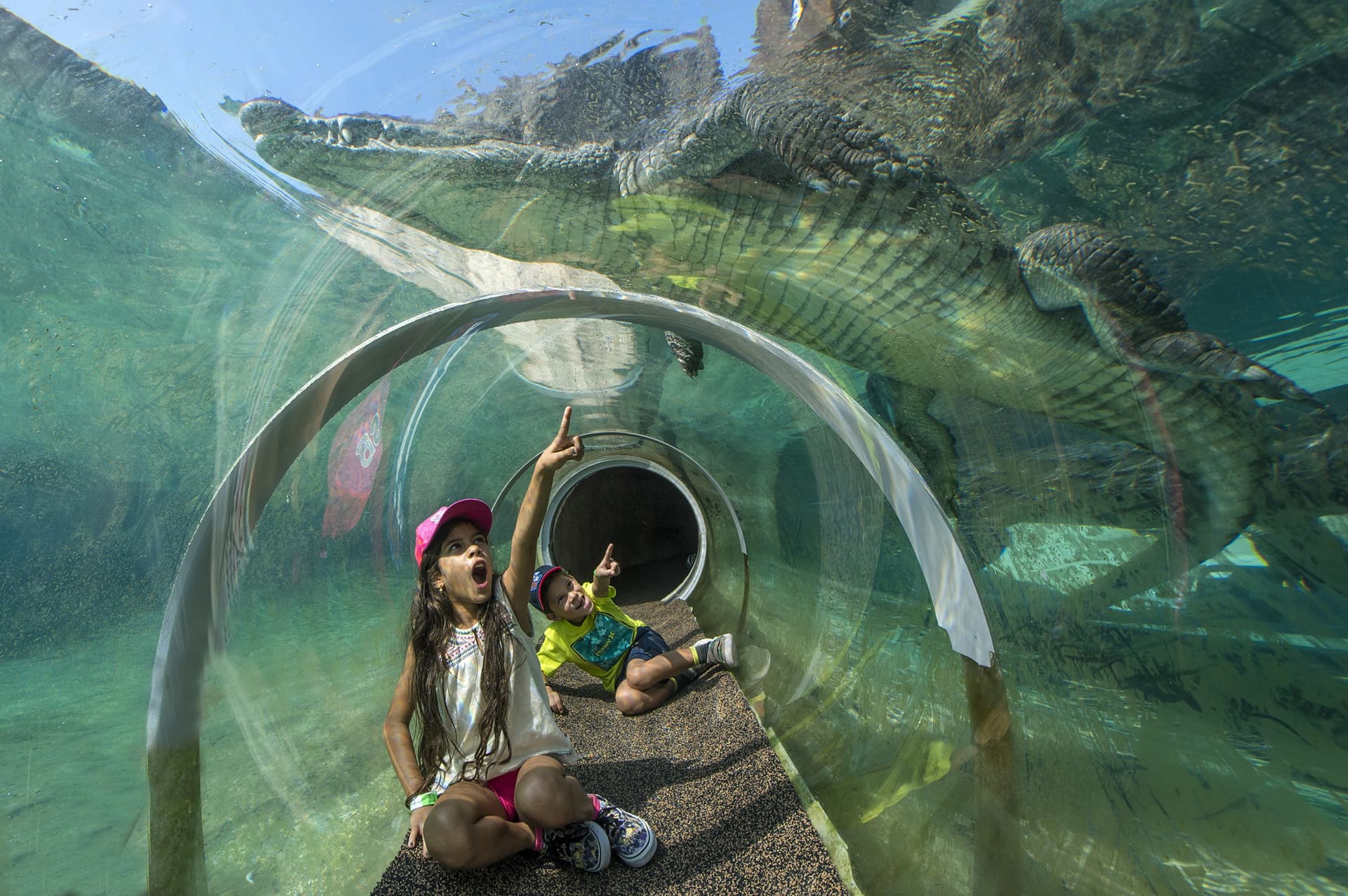 Go City Miami All-Inclusive Pass: Save up to 50% on Attractions - სურათი 4