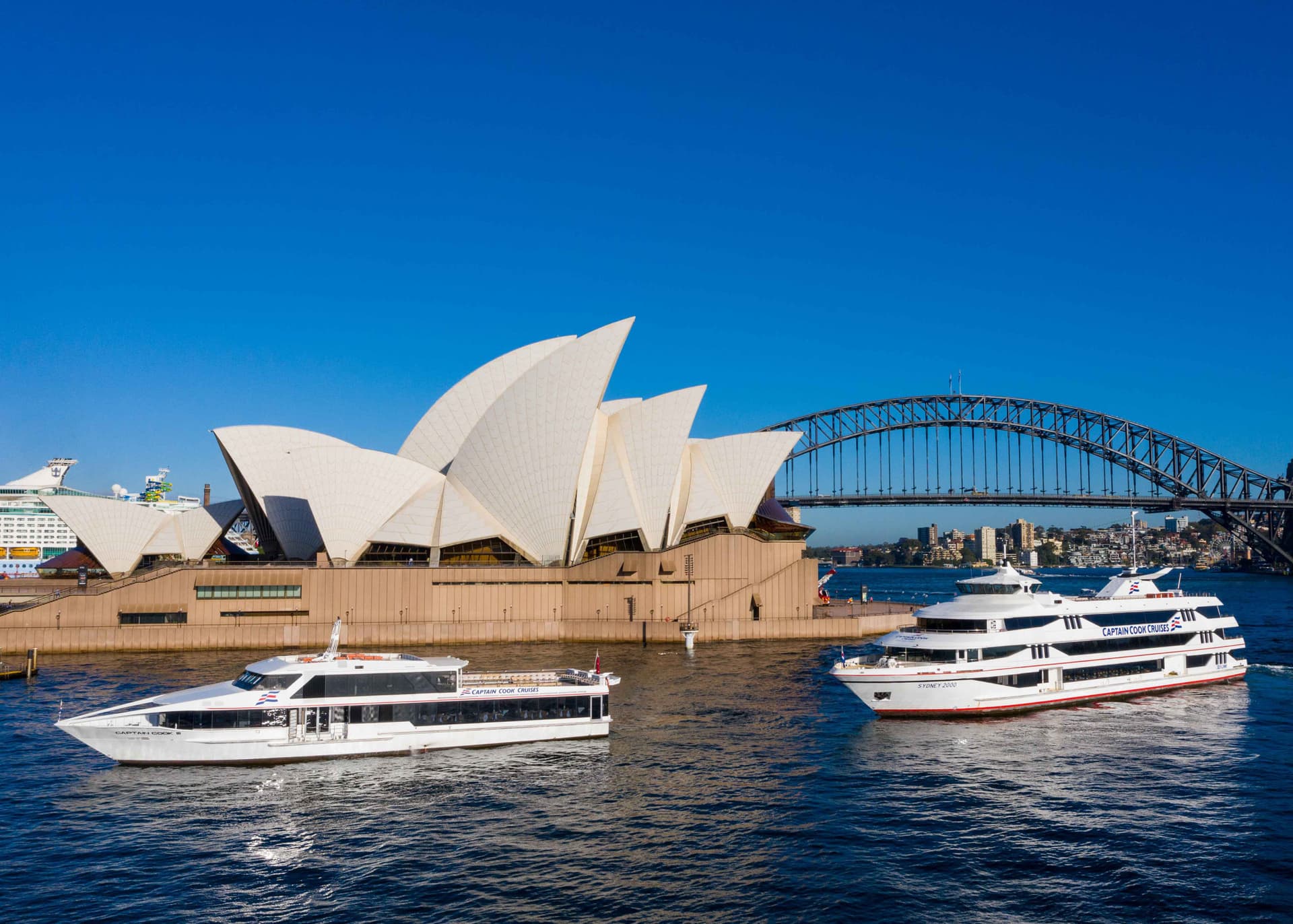 Sydney Harbour Whale Watching Cruise aboard Captain Cook Cruises - სურათი 7