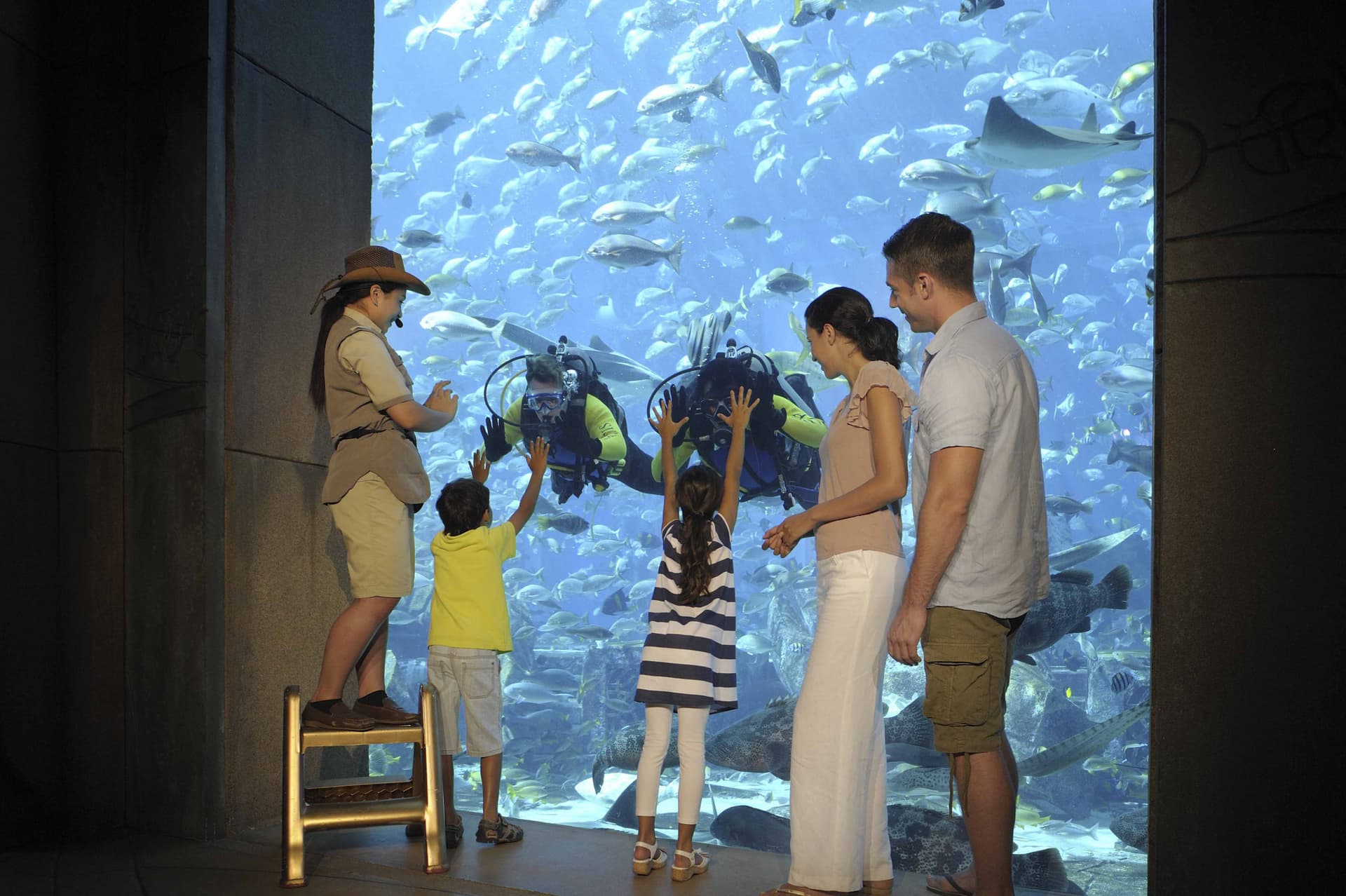 Atlantis Dubai Ticket - სურათი 16