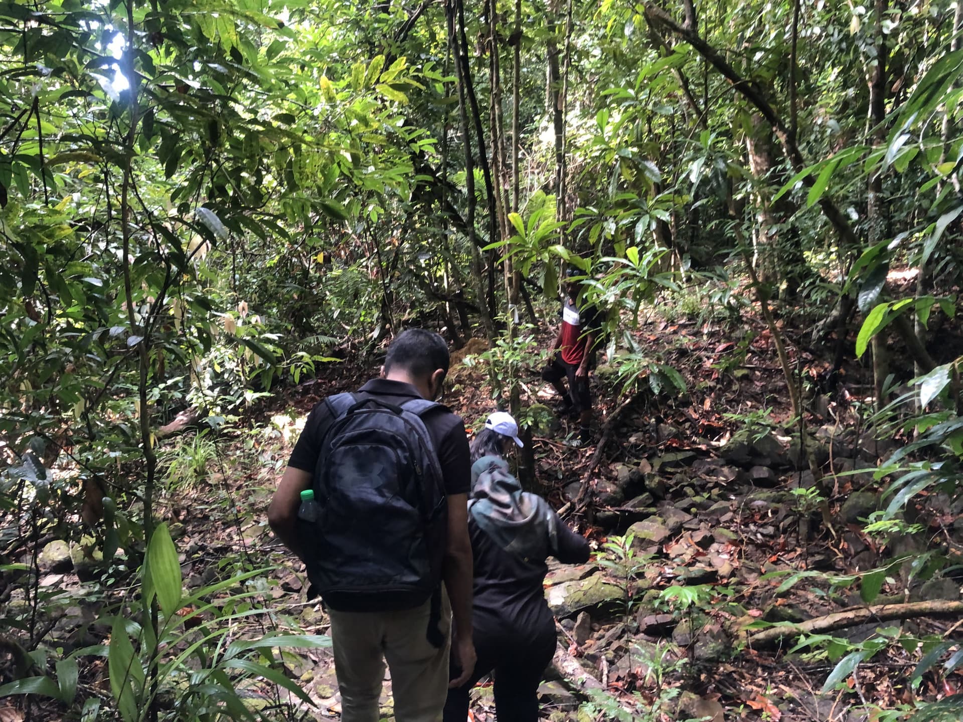 Langkawi Morning Rainforest Walking Tour - სურათი 4