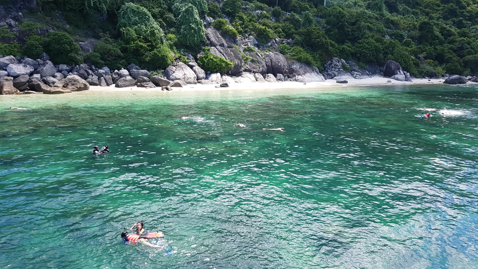 Cham Islands Underwater Walking and Snorkelling Half-Day Tour from Da Nang - სურათი 12