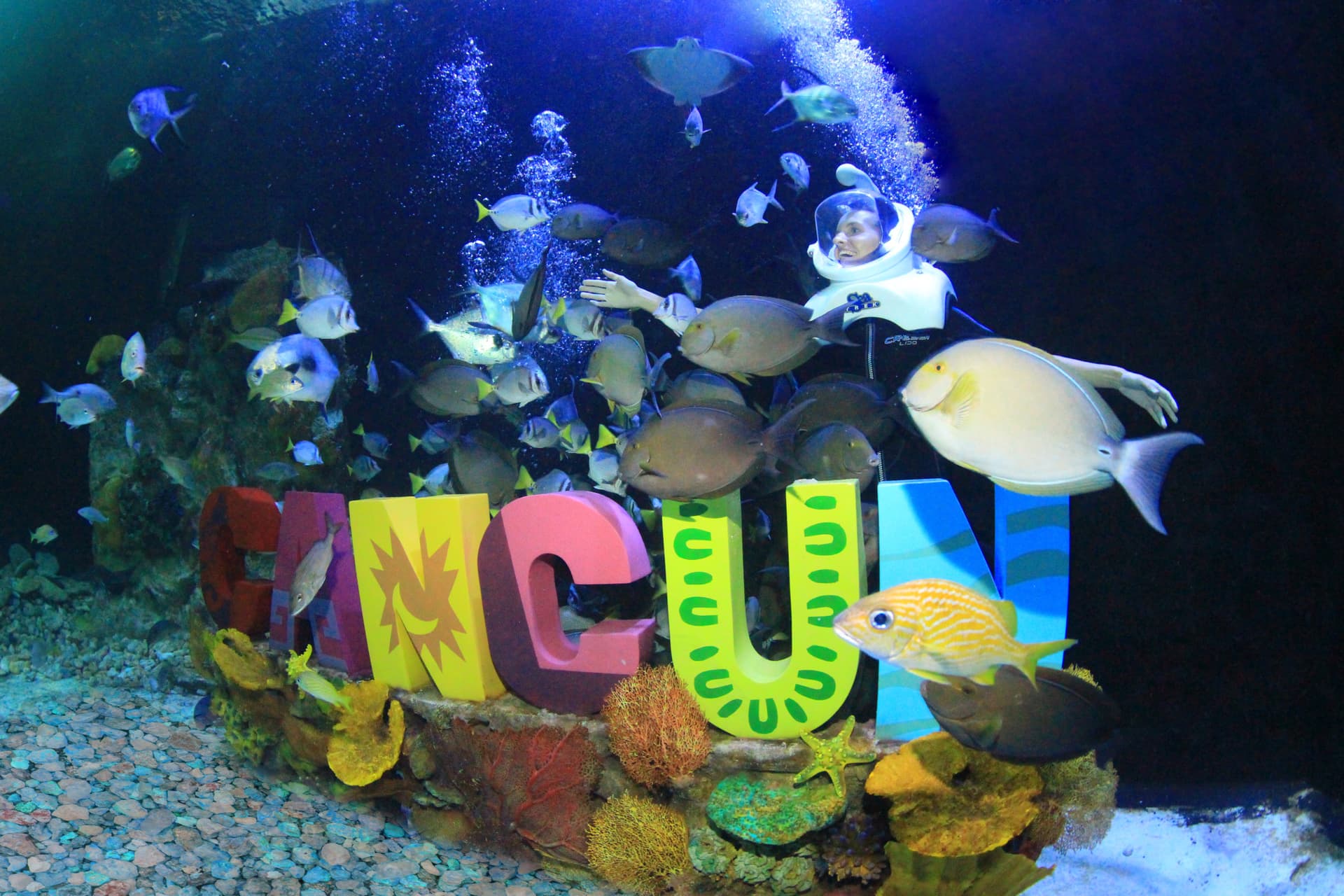 Go City Cancun Essentials Pass: 3 Attractions - სურათი 18
