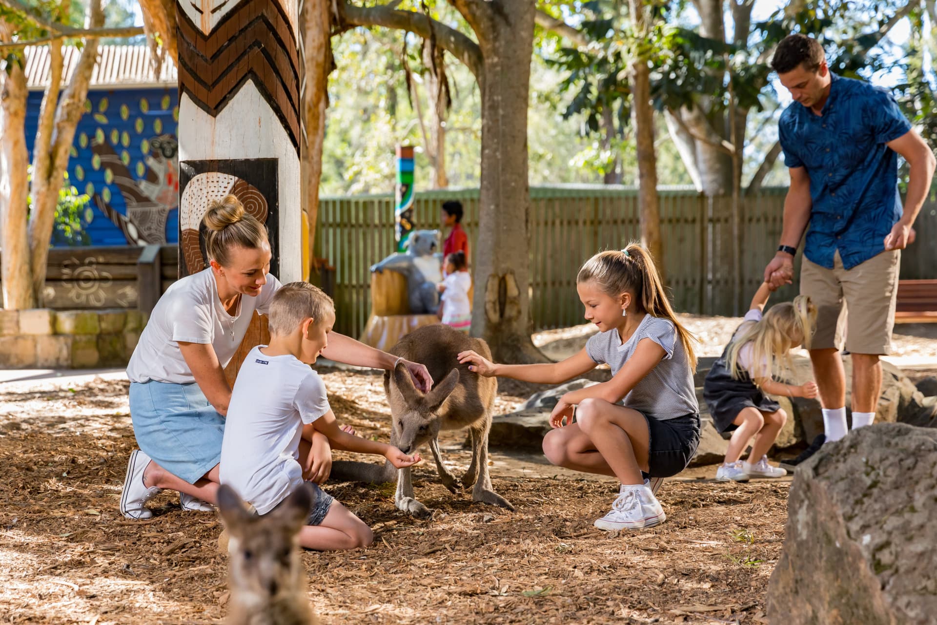 Dreamworld Gold Coast Ticket - სურათი 5