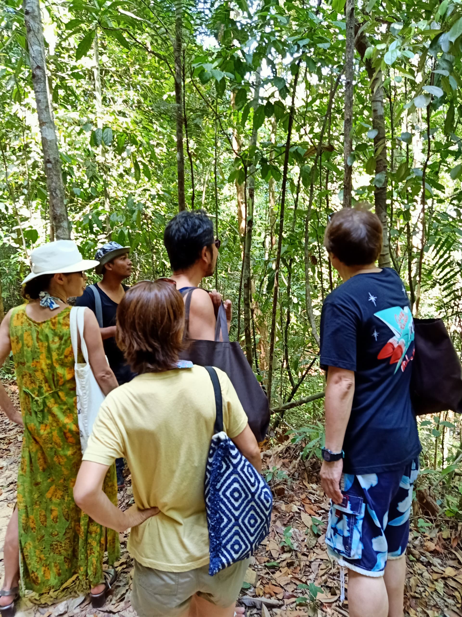 Langkawi Morning Rainforest Walking Tour - სურათი 6