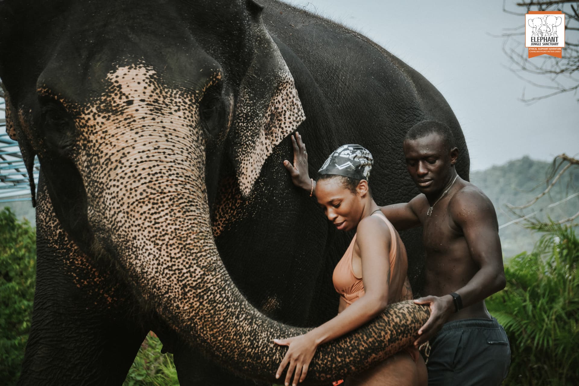Elephant Jungle Sanctuary Phuket - სურათი 16