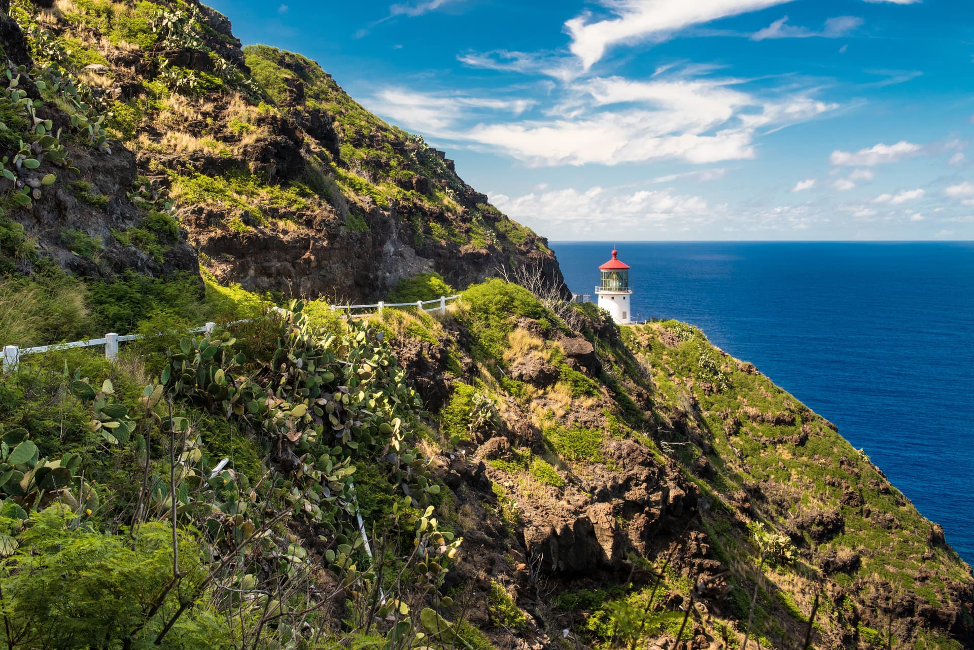 Go City Oahu Explorer Pass: Save up to 50% on Attractions - სურათი 7