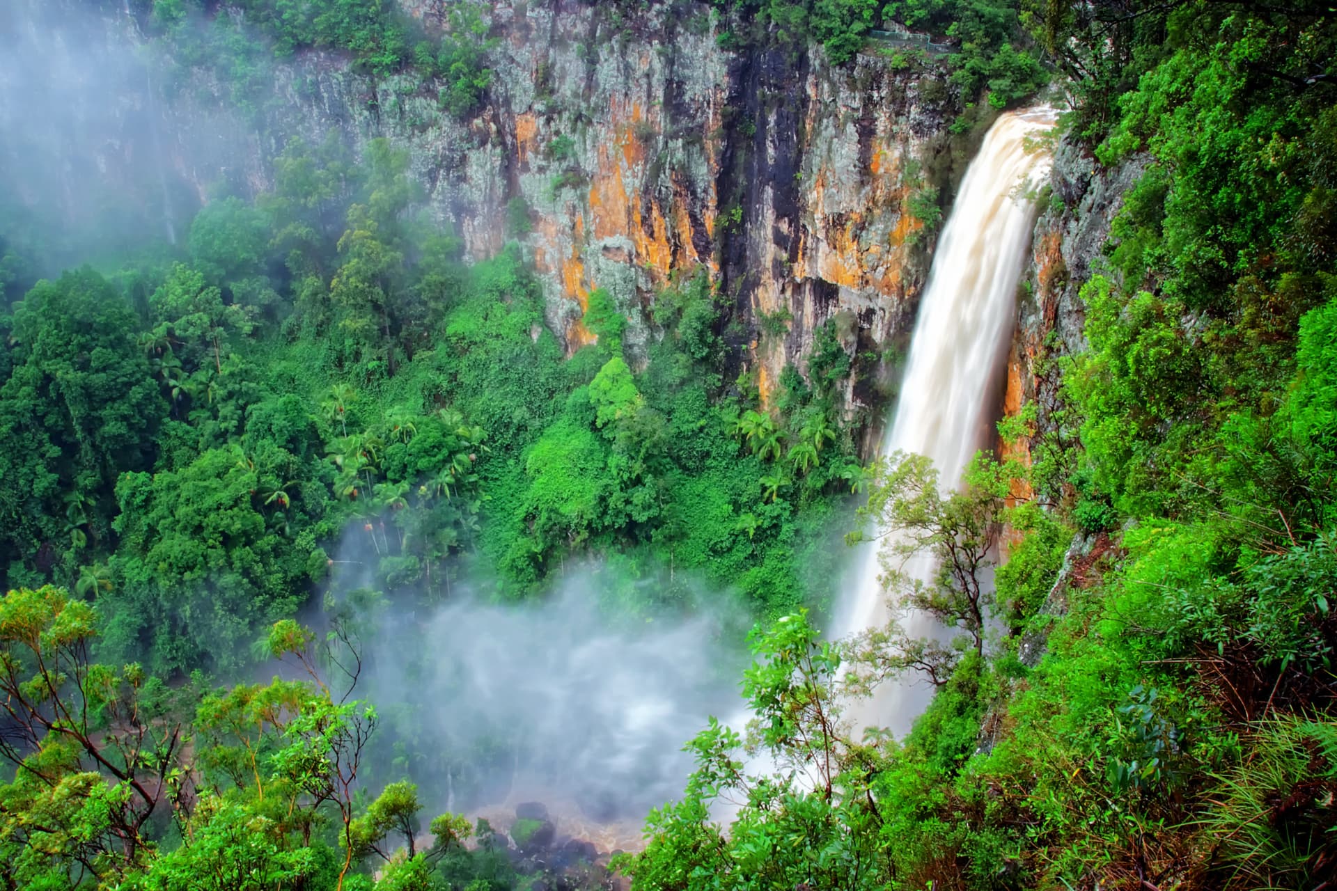 Springbrook National Park Tour: Natural Bridge and Waterfalls - სურათი 2