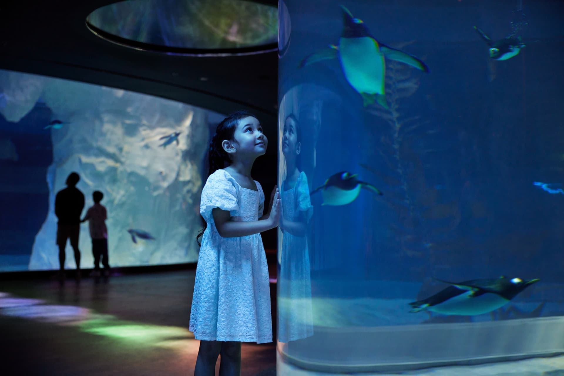 COMBO: River Wonders + Bird Paradise Ticket - სურათი 18