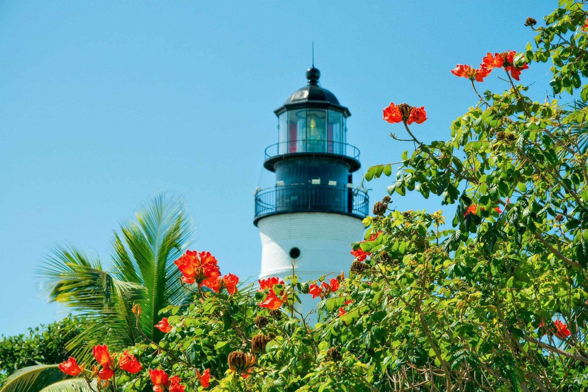 Day Trip to Key West from Miami with Optional Activities - სურათი 21