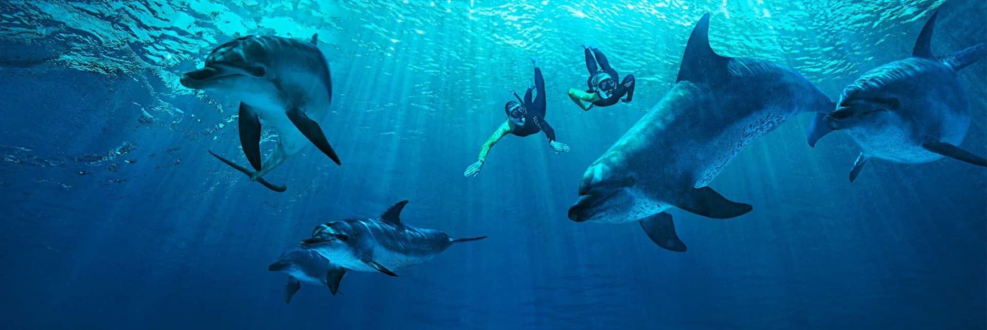 Atlantis Dubai Ticket - სურათი 23