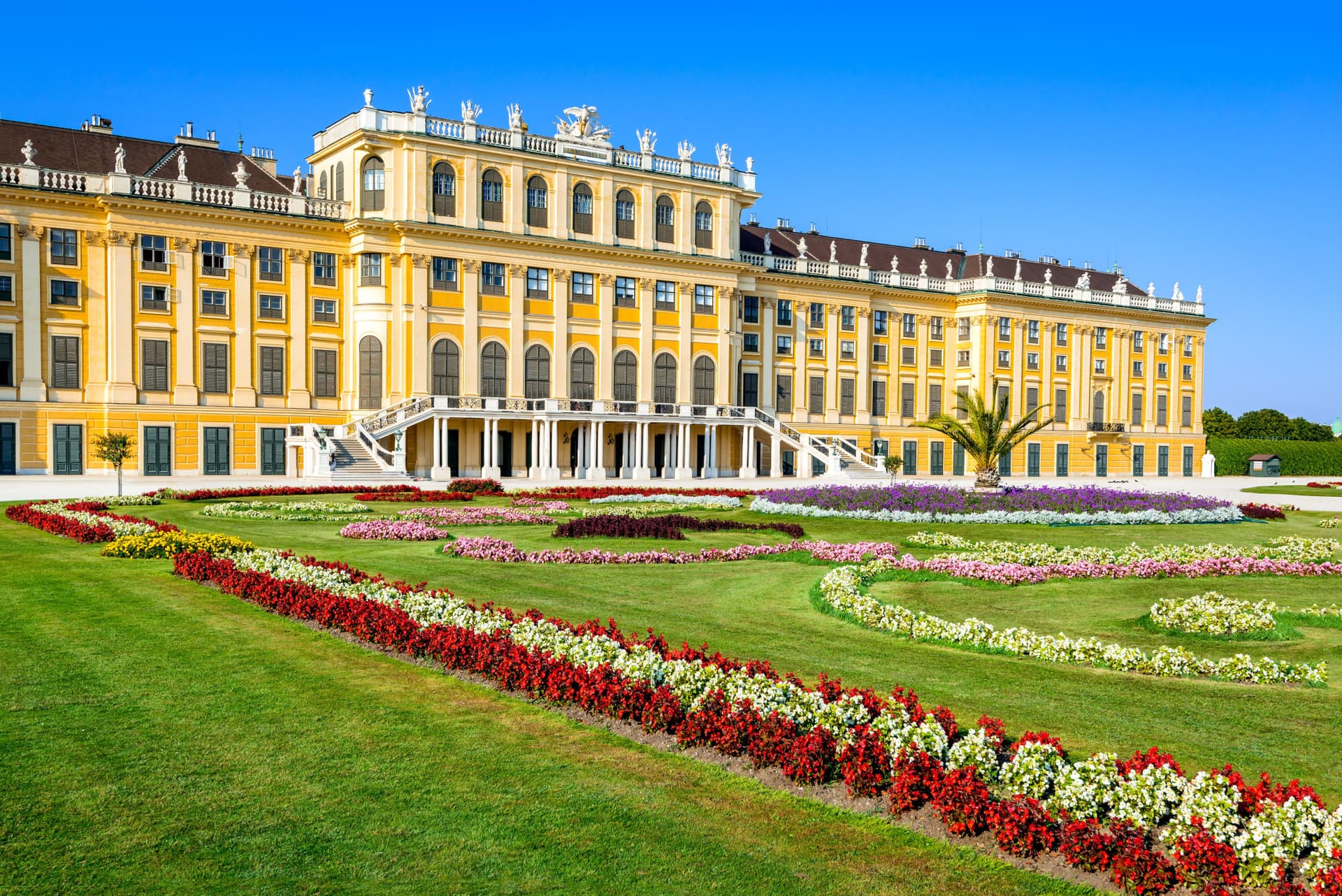 Schonbrunn Palace and Gardens - სურათი 2