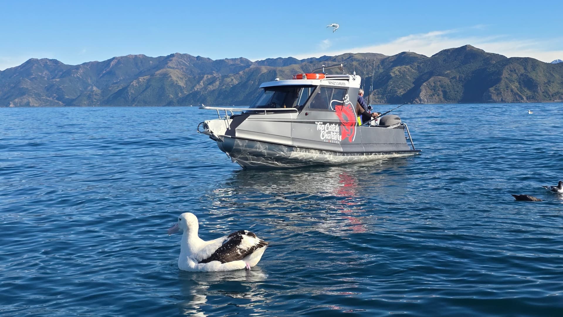 Fishing and Crayfish Trip from Kaikoura - სურათი 9
