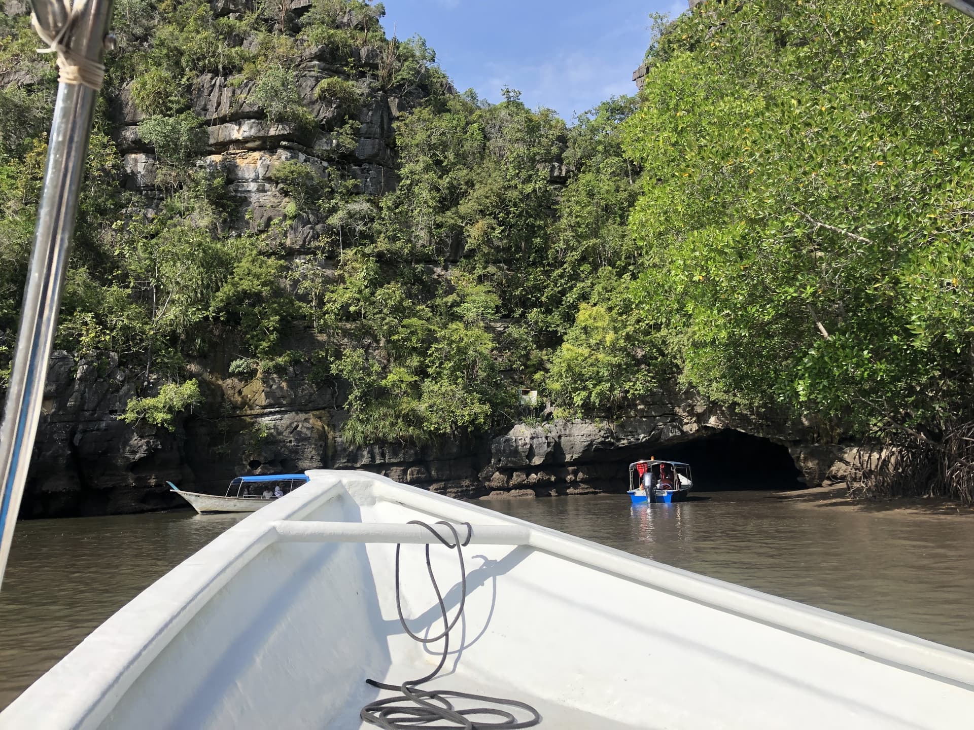 Langkawi UNESCO Global Geopark Mangrove Cruise - სურათი 7