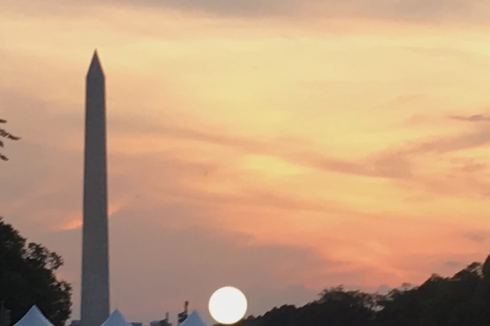 Washington Monument Ticket + Optional Guided Tour - სურათი 5