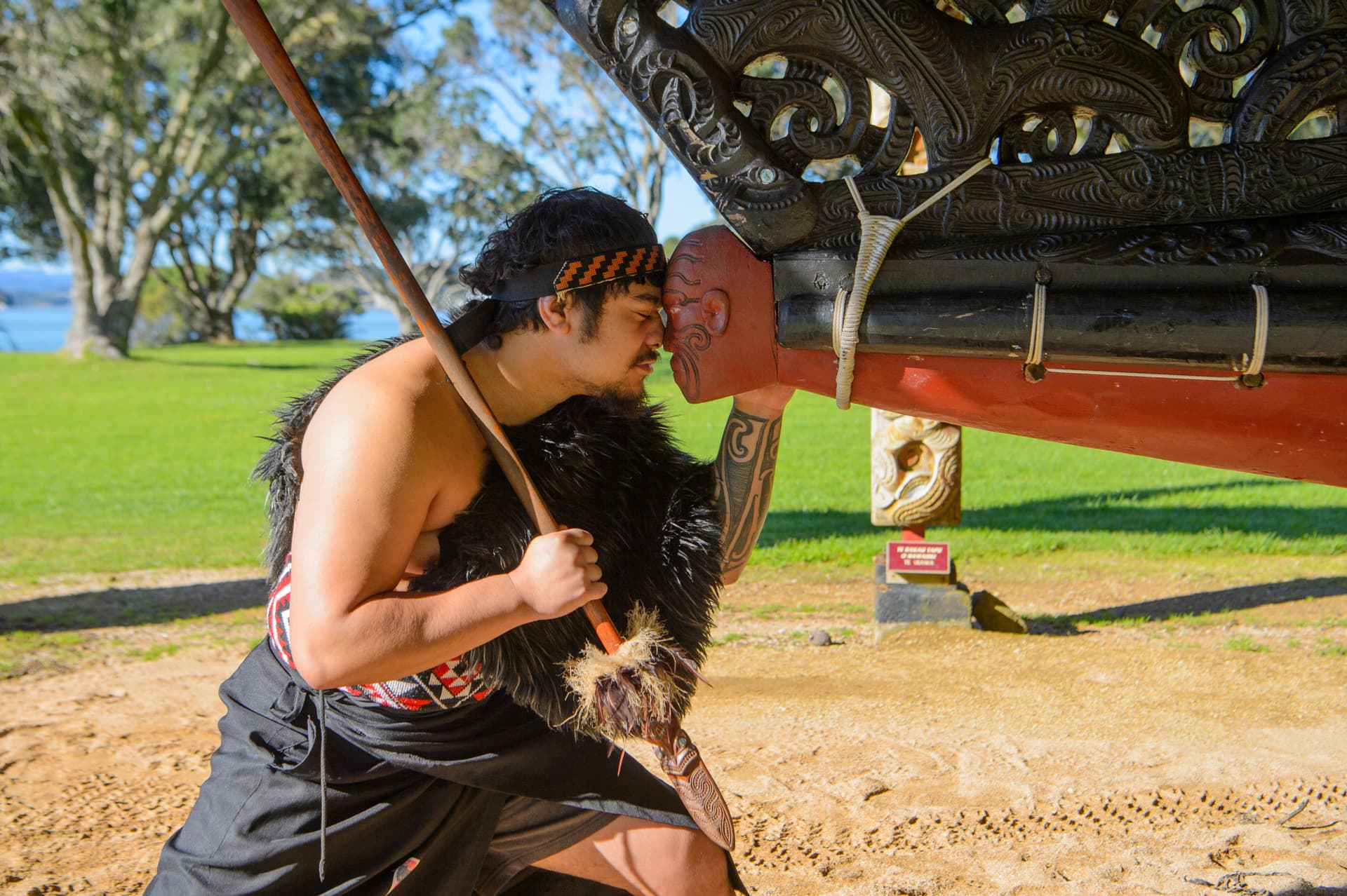 Waitangi Treaty Grounds Ticket with Cultural Guided Tour - მთავარი სურათი