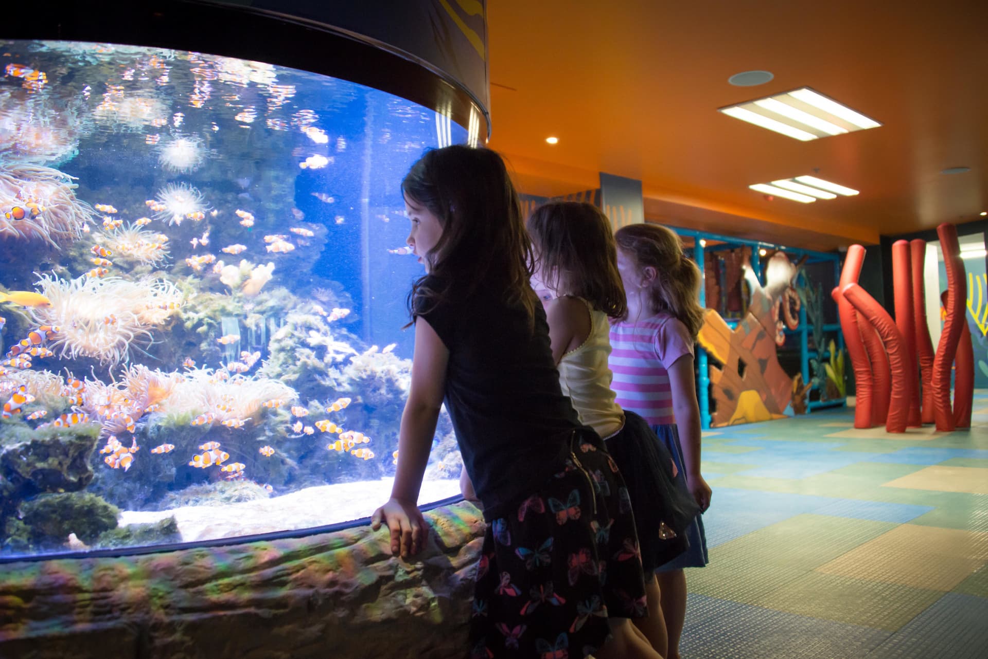 SEA LIFE Kelly Tarlton's Aquarium Ticket - სურათი 2