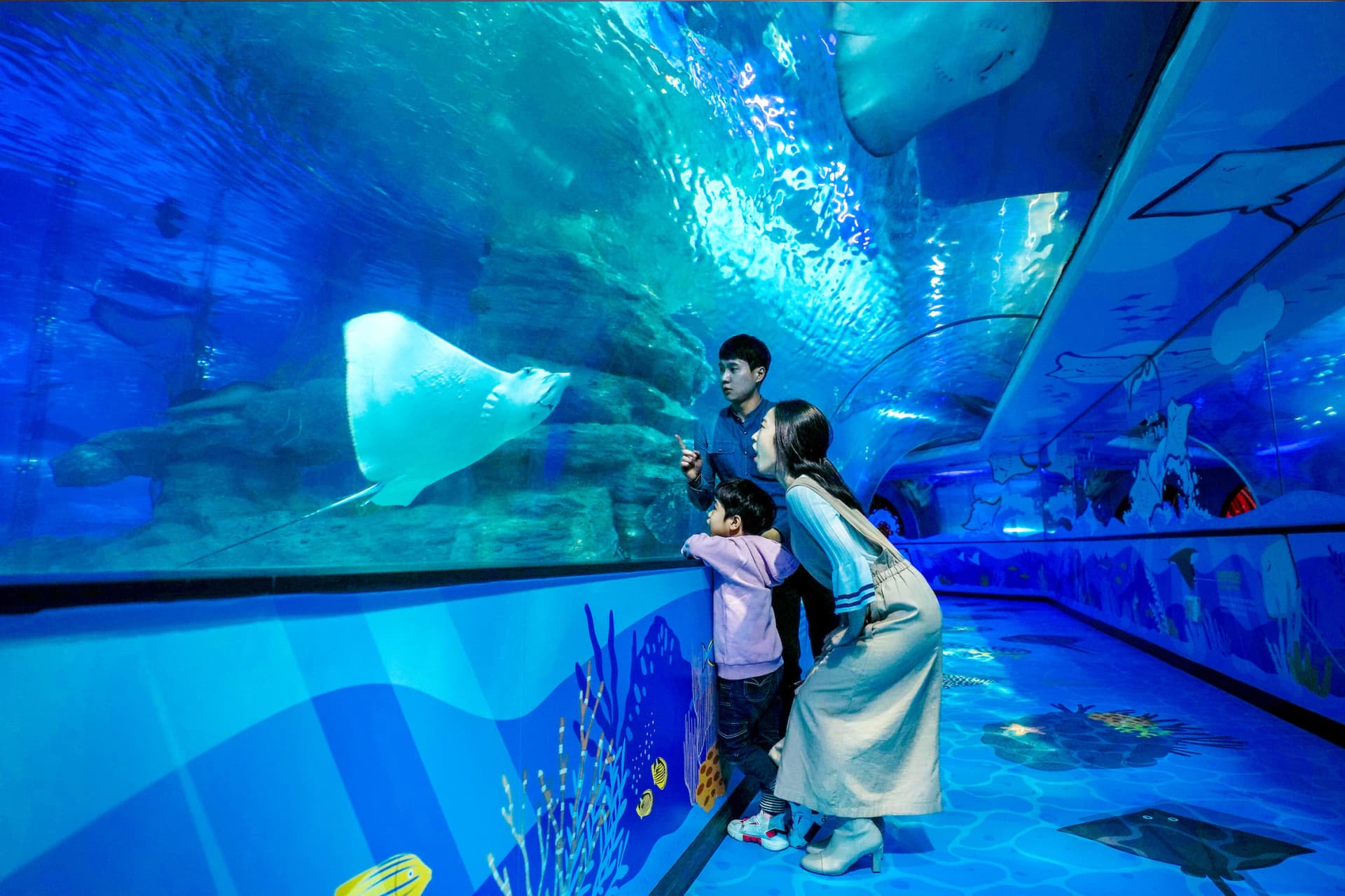 SEA LIFE Busan Aquarium Ticket - მთავარი სურათი