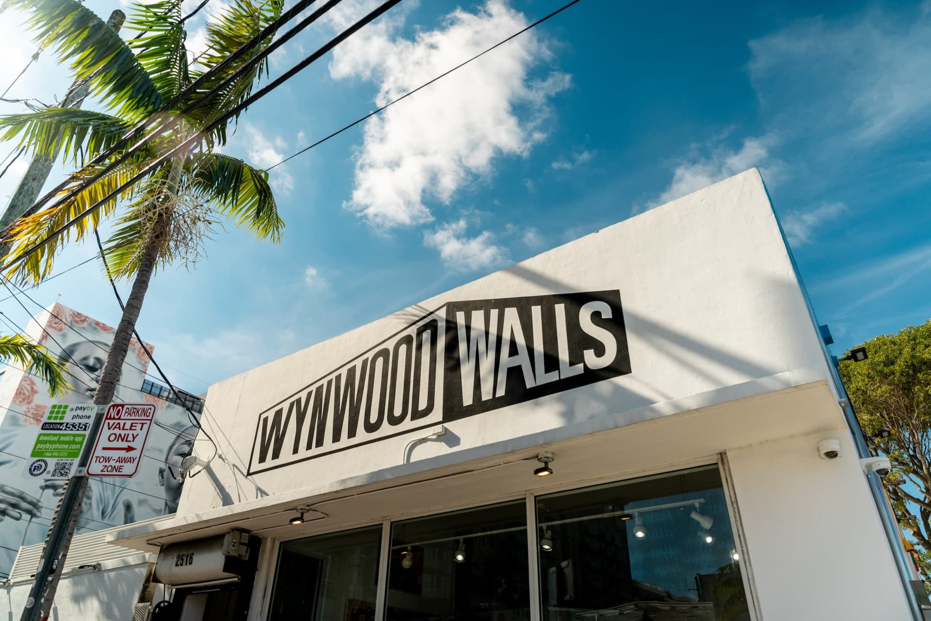 Miami: Wynwood Walls Skip-the-Line Ticket - სურათი 5