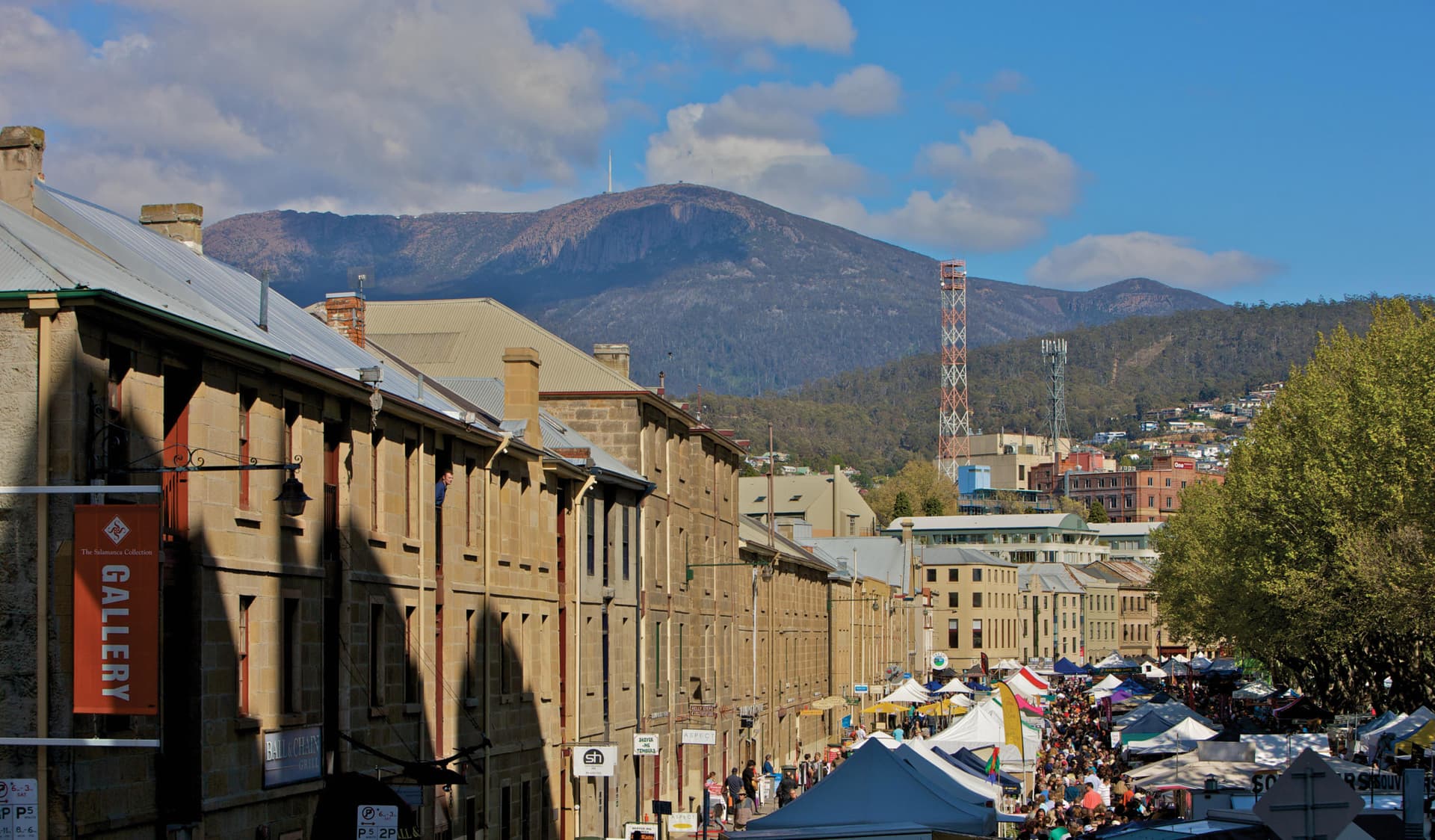 Mount Wellington and Hobart City Tour - სურათი 10