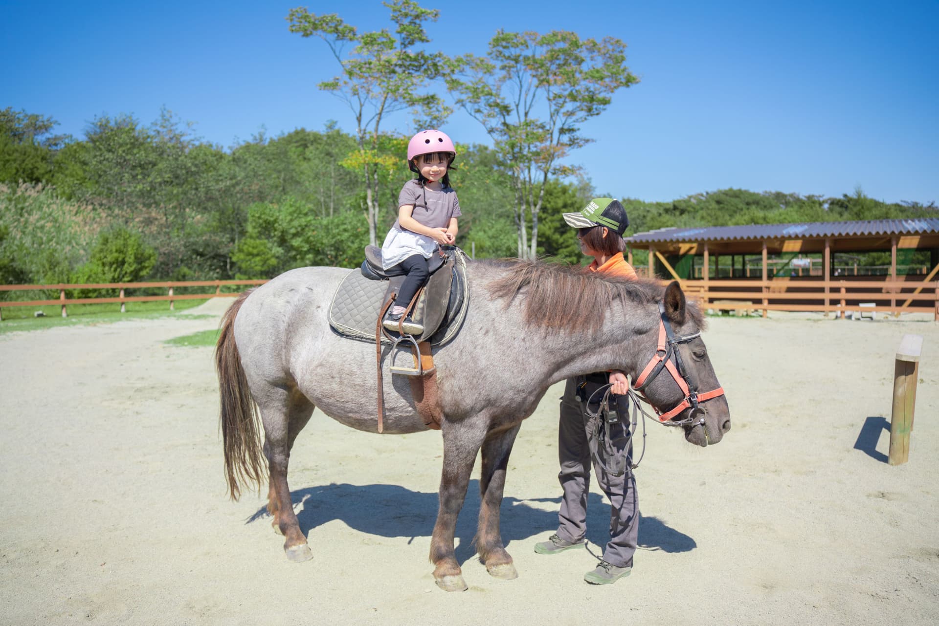 Nasu Animal Kingdom Ticket - სურათი 5