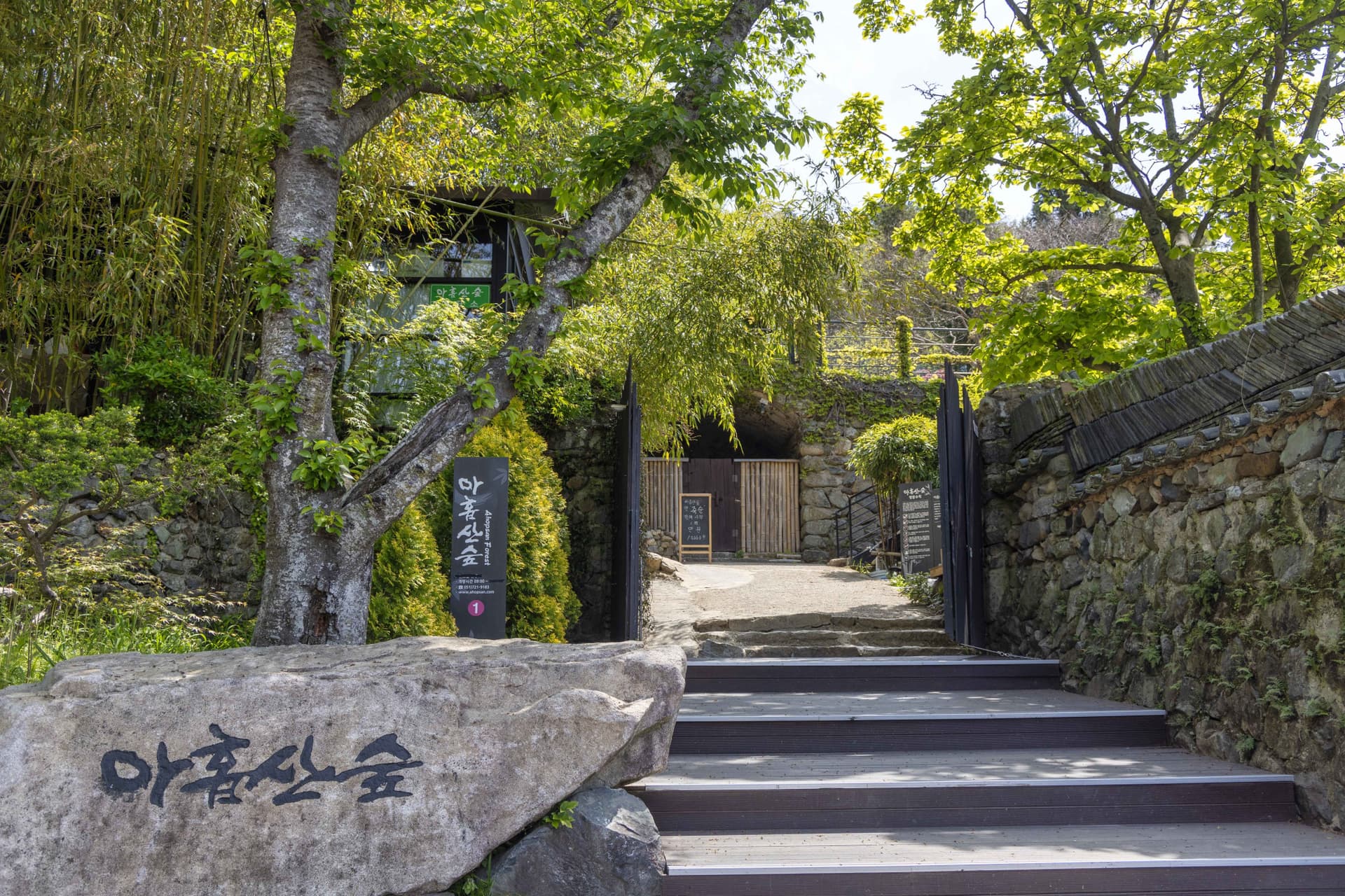 Busan Local Life Tour: Bamboo Forest, Haedongyonggungsa Temple, Gamcheon Culture Village - სურათი 2