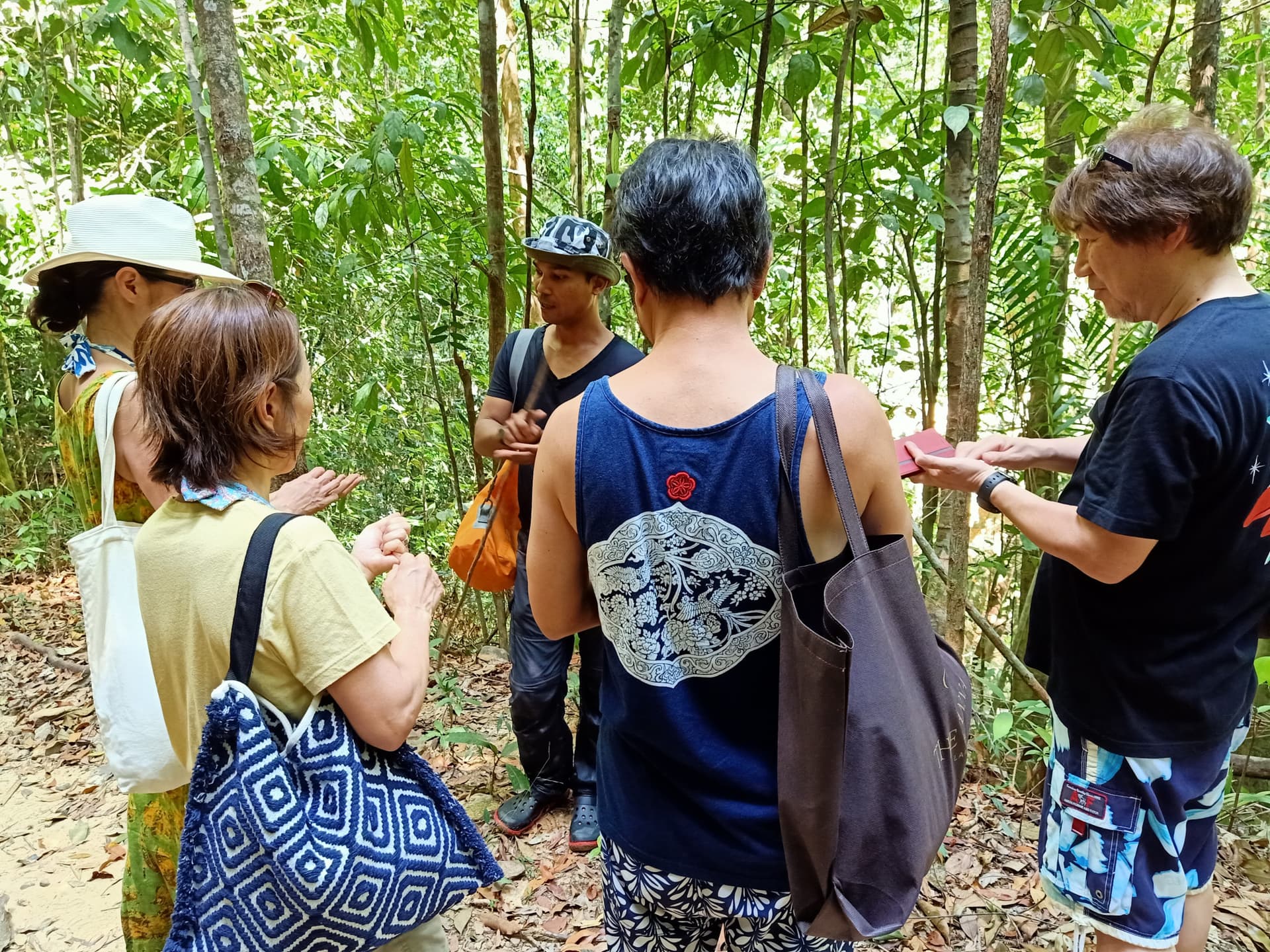 Langkawi Morning Rainforest Walking Tour - სურათი 3