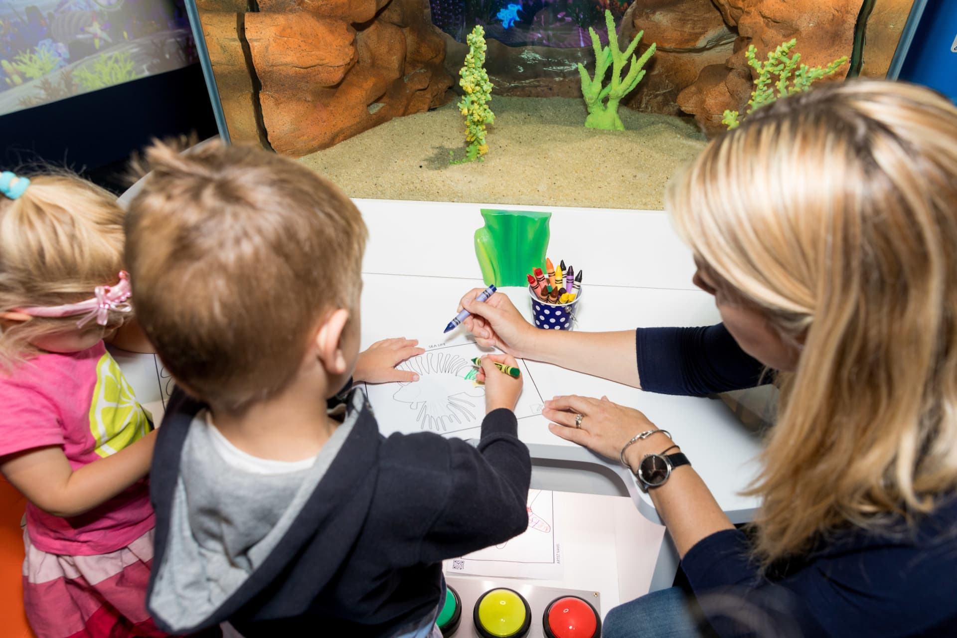 SEA LIFE Kelly Tarlton's Aquarium Ticket - სურათი 11