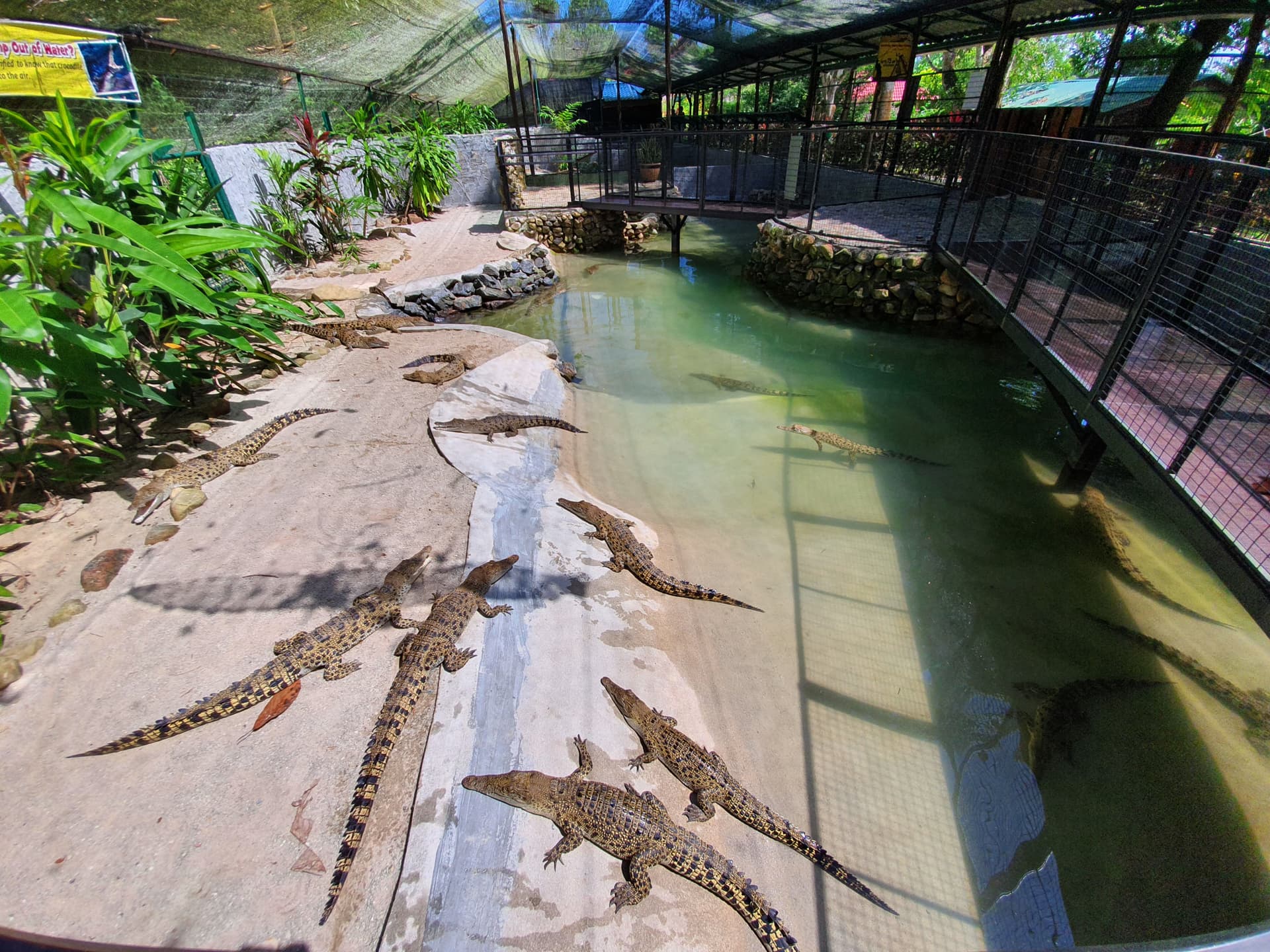 Crocodile Adventureland Langkawi - სურათი 9