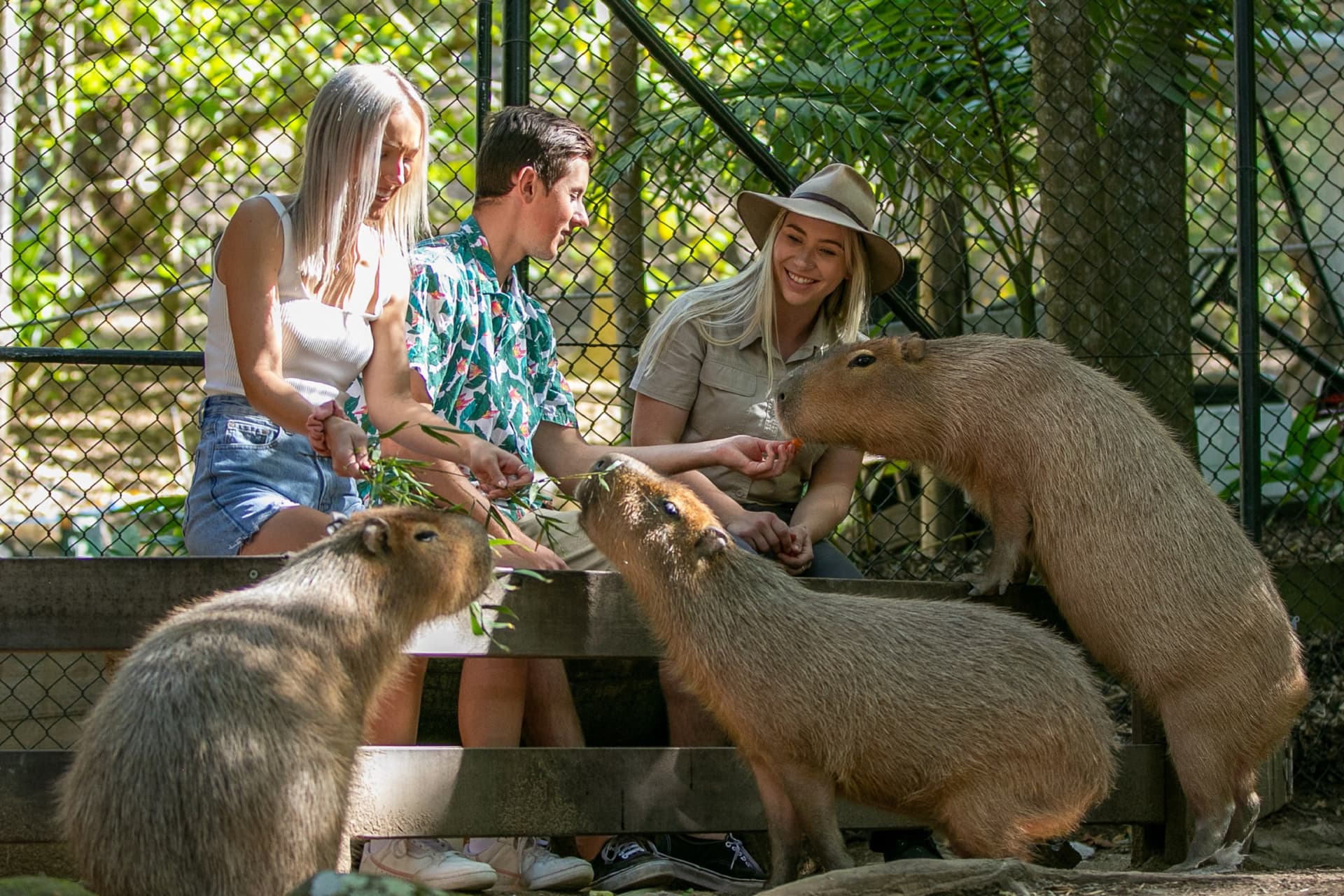 Currumbin Wildlife Sanctuary Gold Coast Ticket - სურათი 9