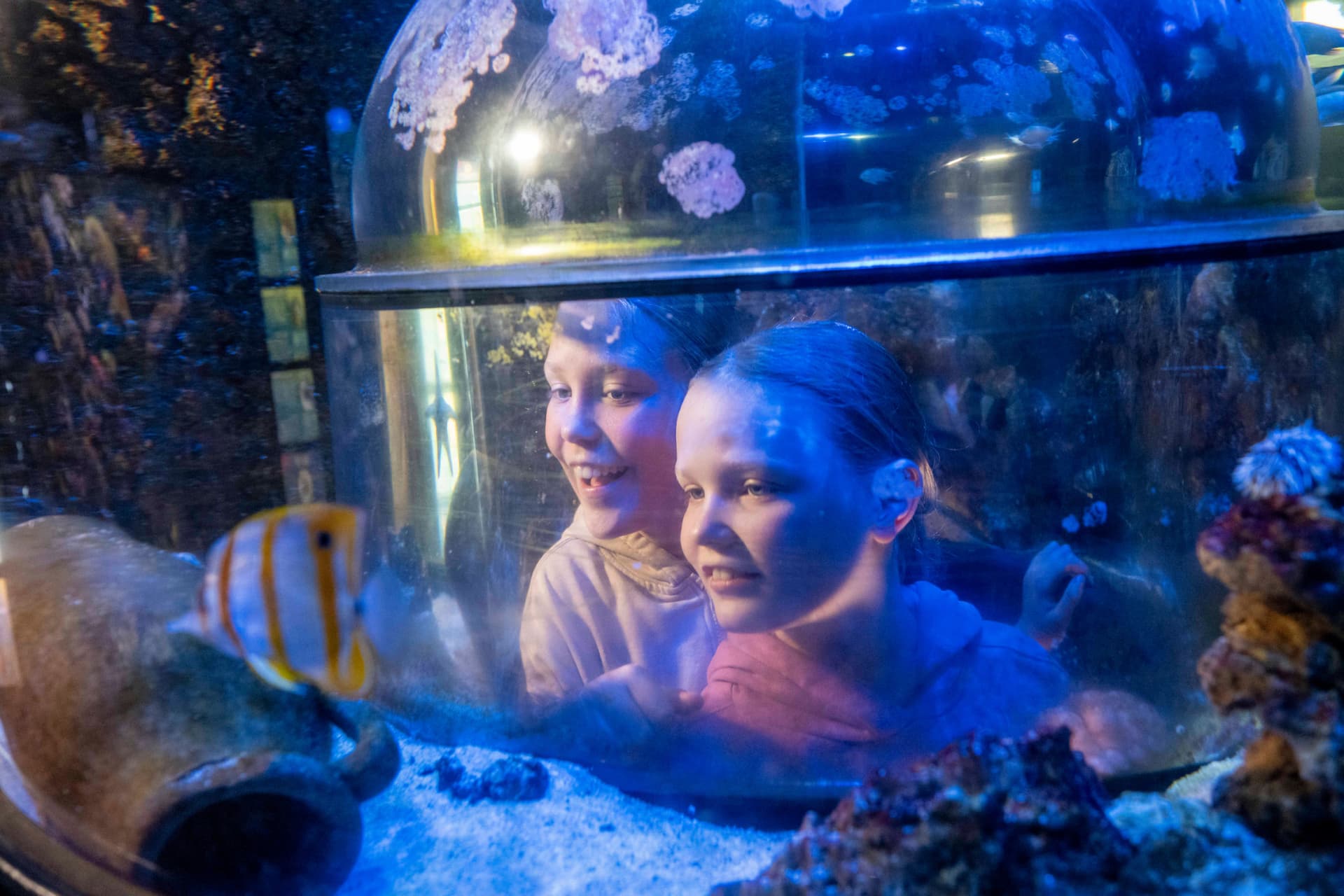 SEA LIFE Munich Aquarium Ticket - სურათი 3