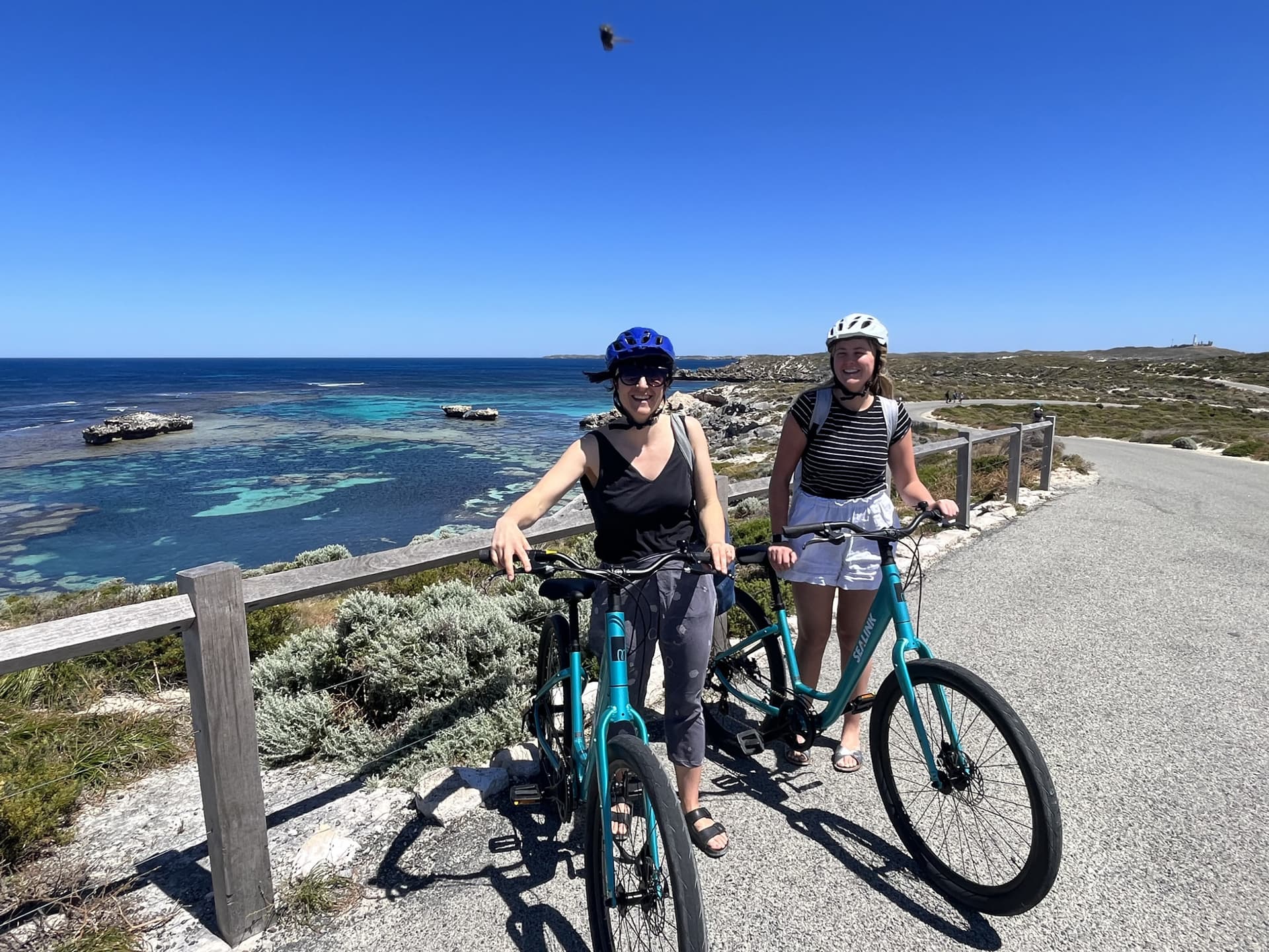 Round Trip SeaLink Ferry Transfer to Rottnest Island with Bike Hire - სურათი 5