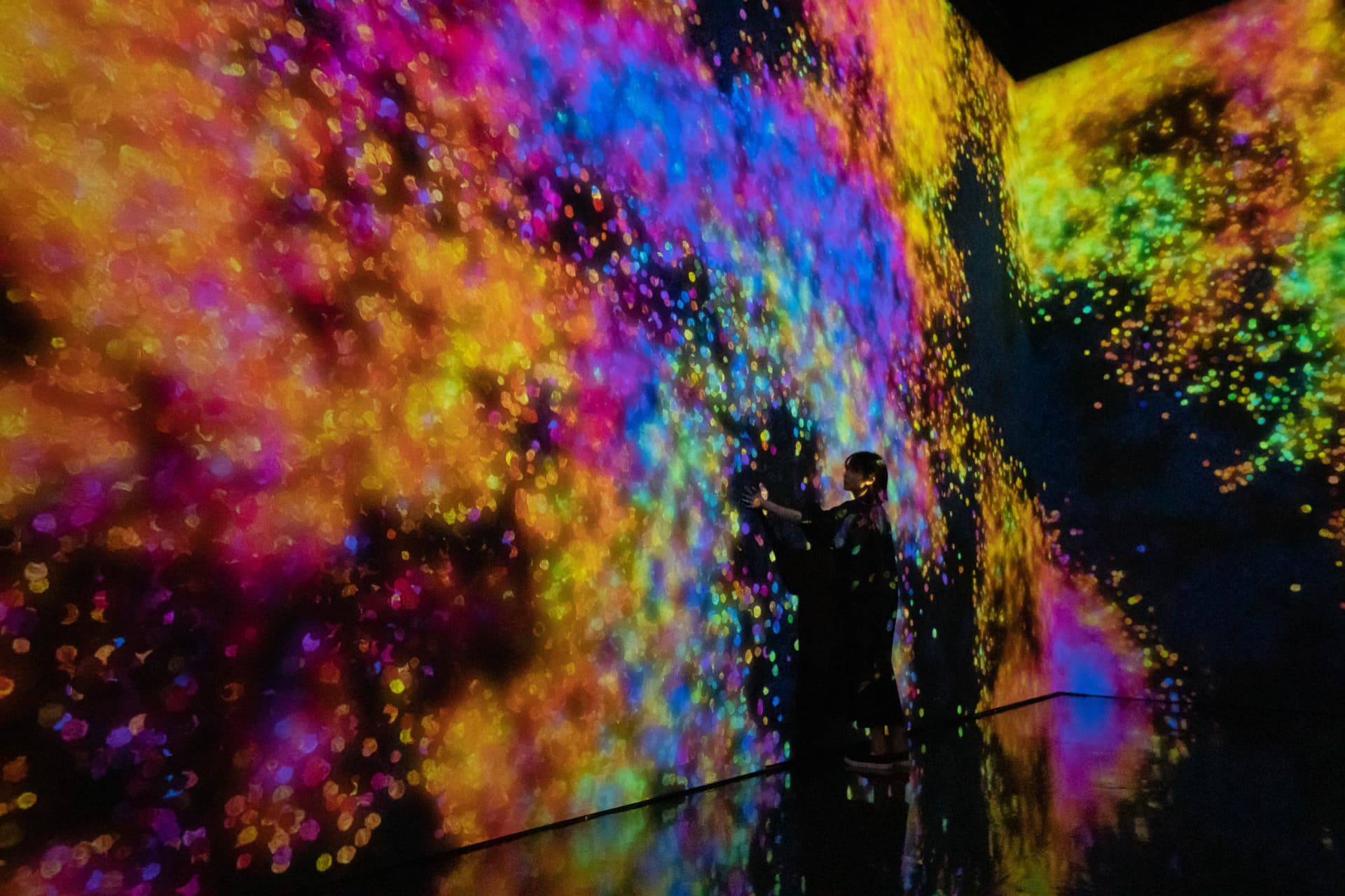 teamLab SuperNature Macao 3D Interactive Exhibition Ticket - სურათი 5