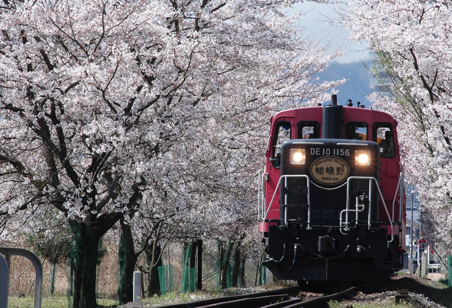 Sagano Romantic Train - სურათი 14